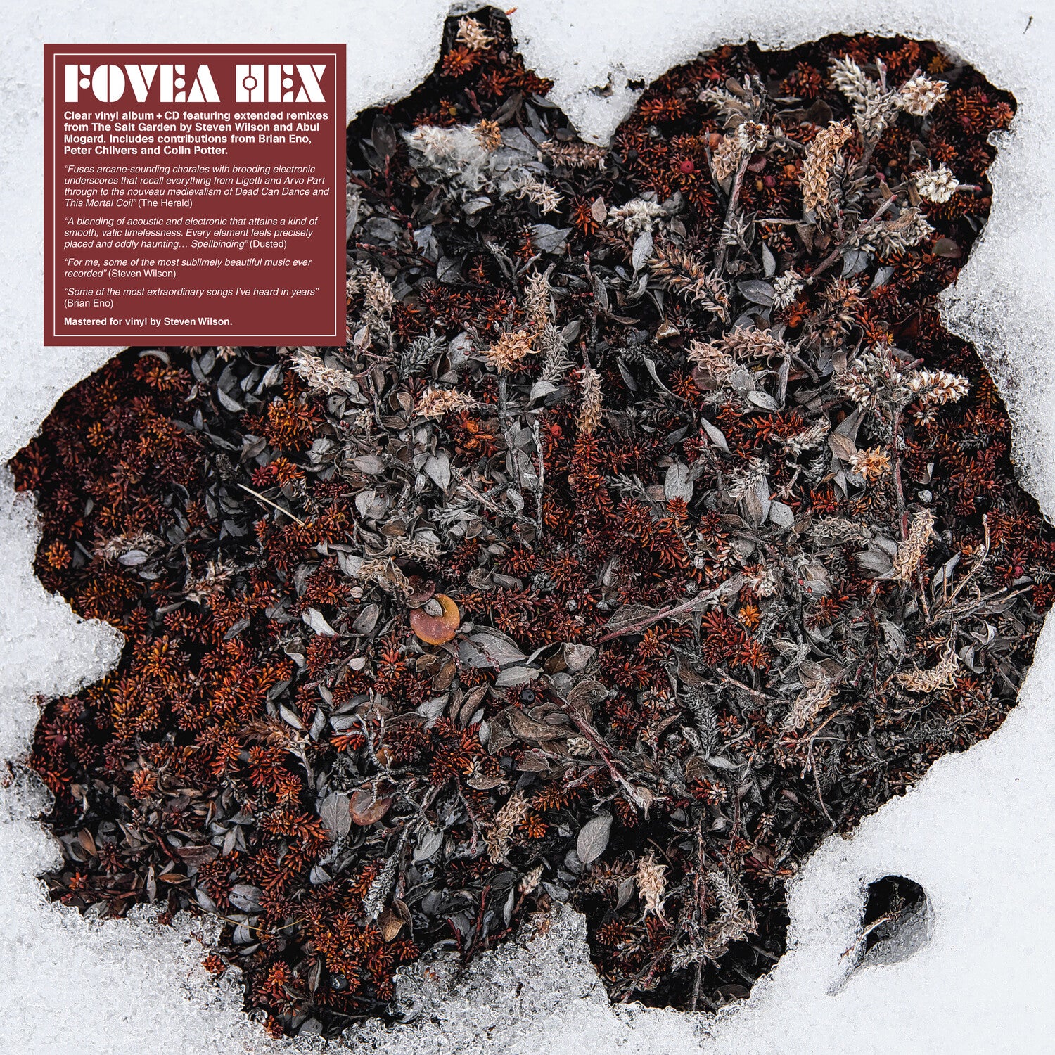 Fovea Hex - The Salt Garden 2xLP (Clear Vinyl)
