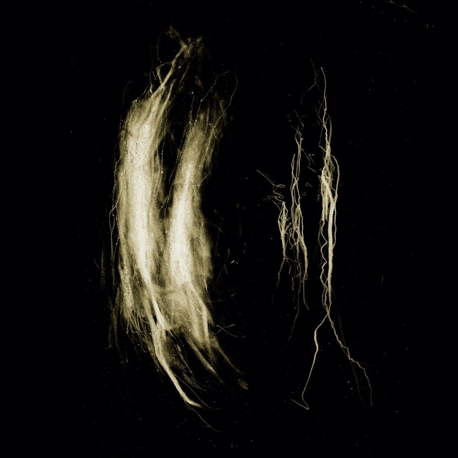 My Heart an Inverted Flame - Plague Notes