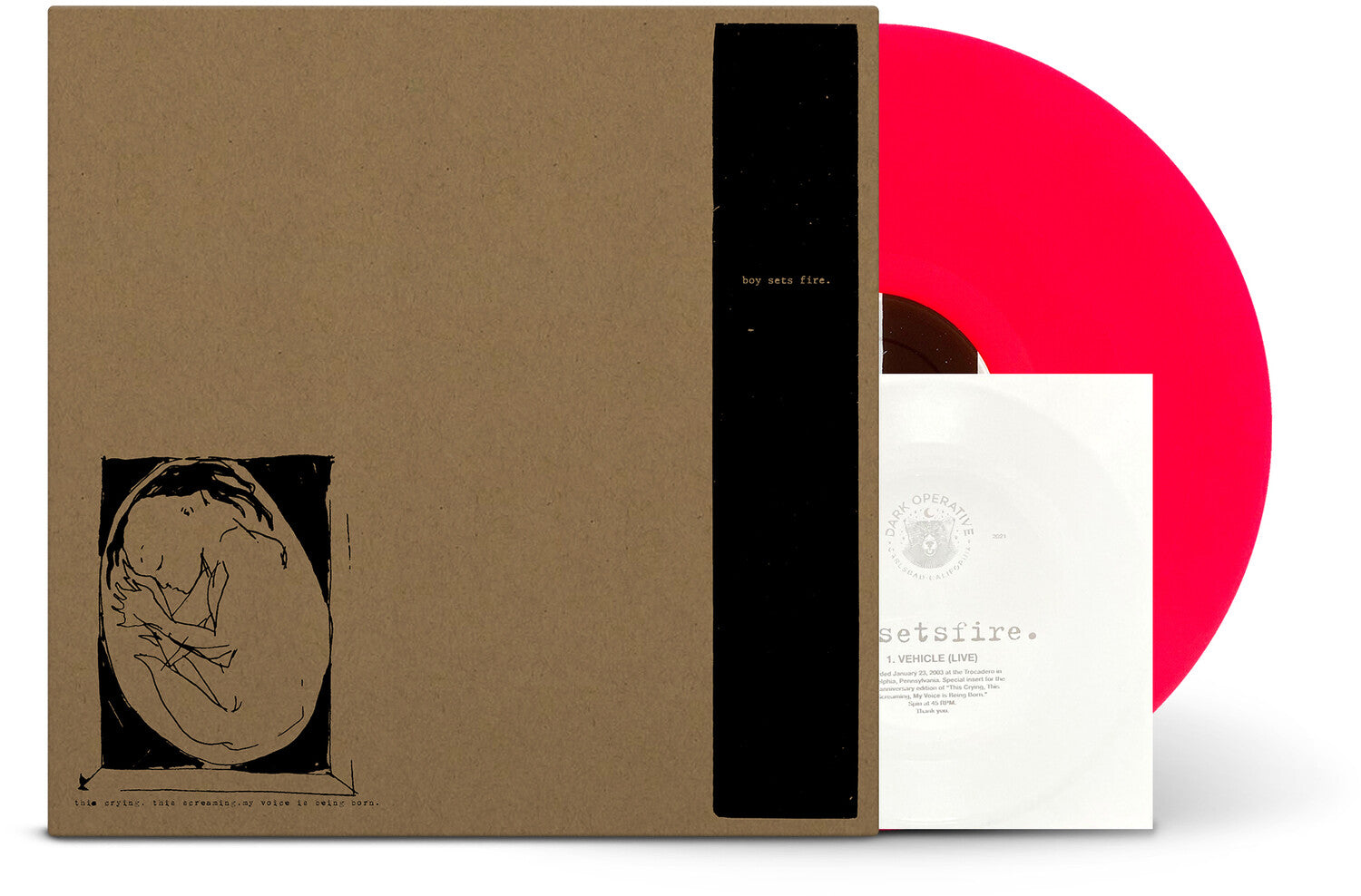 Boysetsfire - This Crying, This Screaming, My Voice Is Being Born (Reissue)