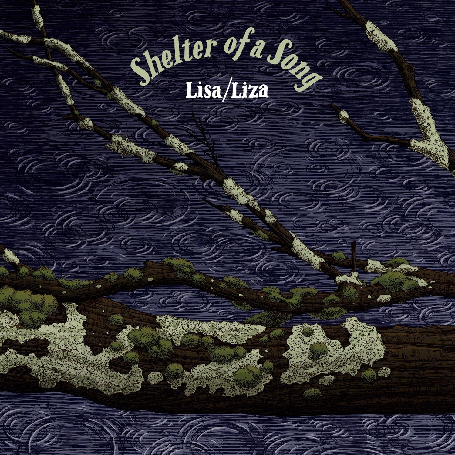 Lisa / Liza - Shelter Of A Song