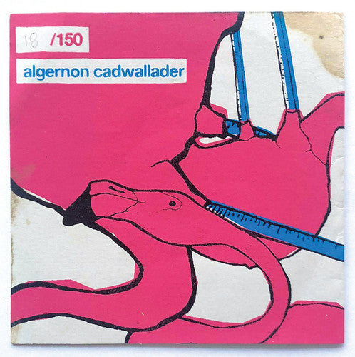 Algernon Cadwallader (CD)
