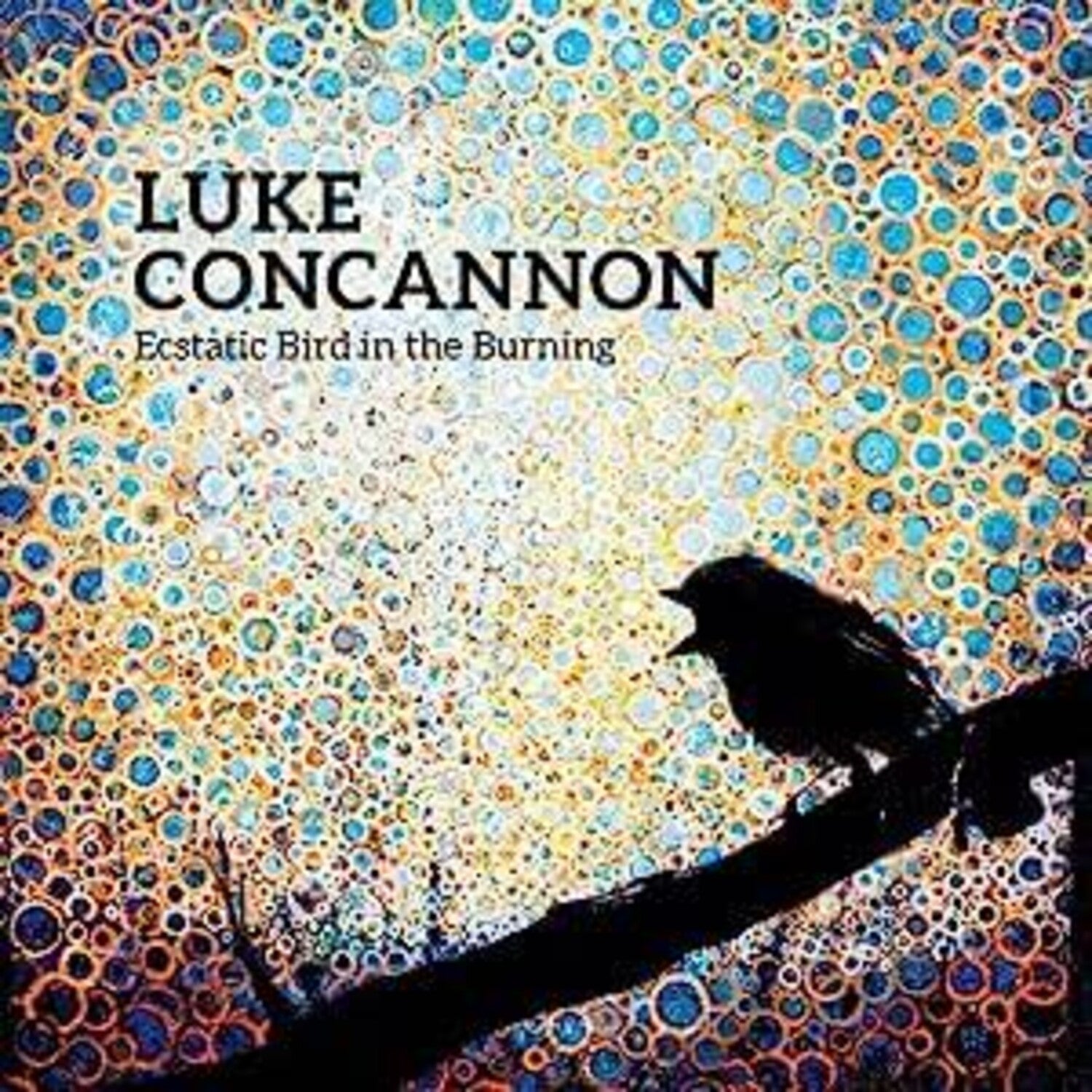 Luke Concannon - Ecstatic Bird In The Burning (CD)