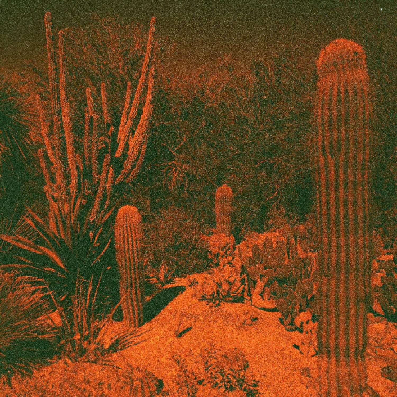 Cameron Knowler / Eli Winter - Anticipation