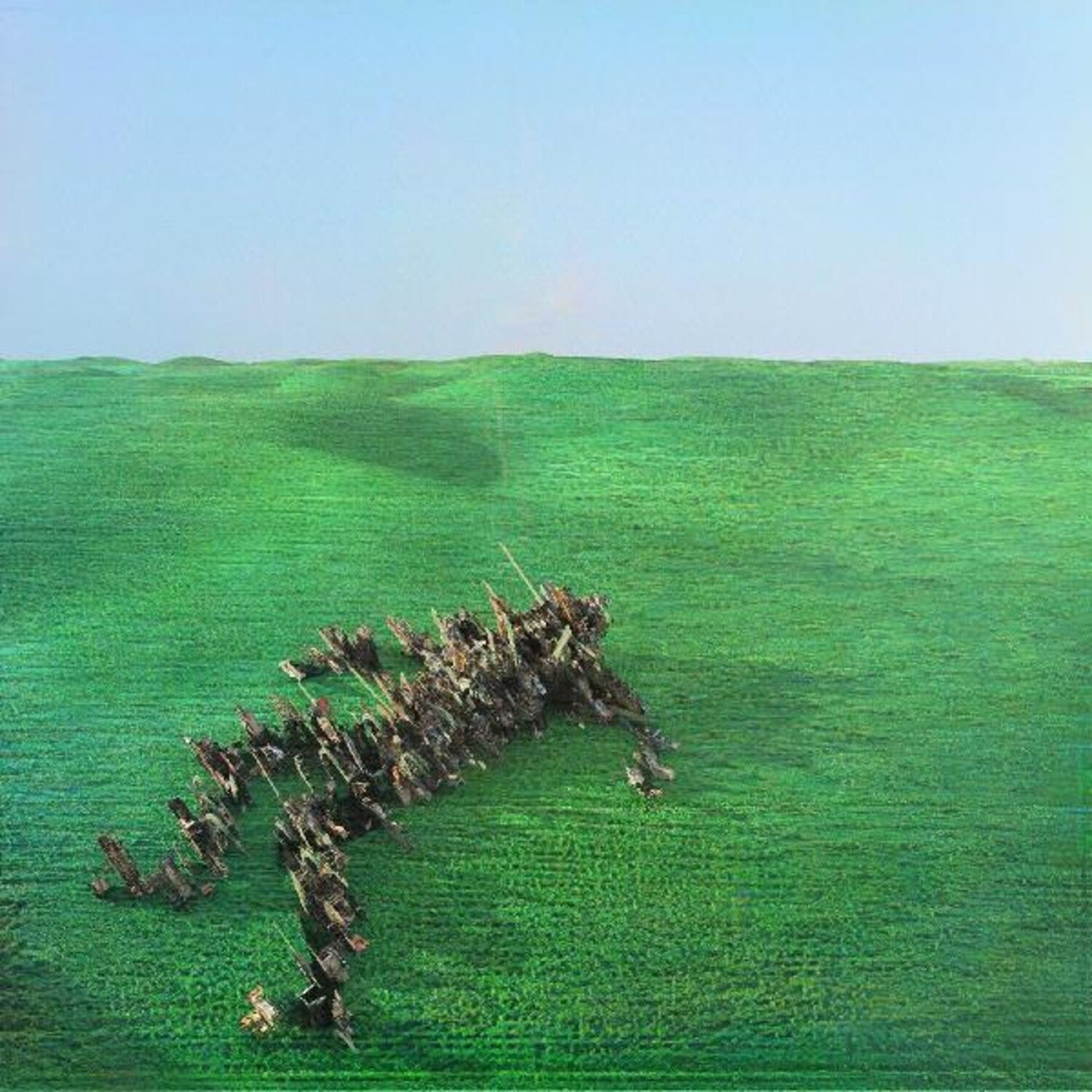Squid - Bright Green Field 2xCD