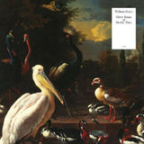 William Doyle - Great Spans Of Muddy Time (CD)