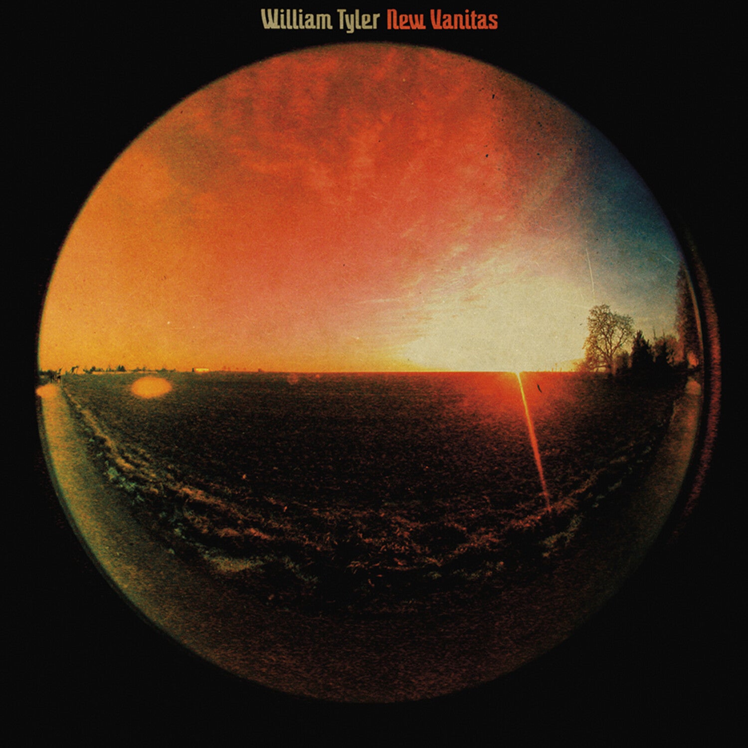 William Tyler - New Vanitas (RSD)