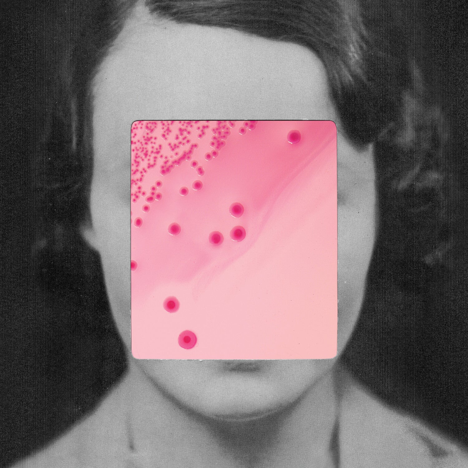 Heligoland - This Quiet Fire (Limited Edition)