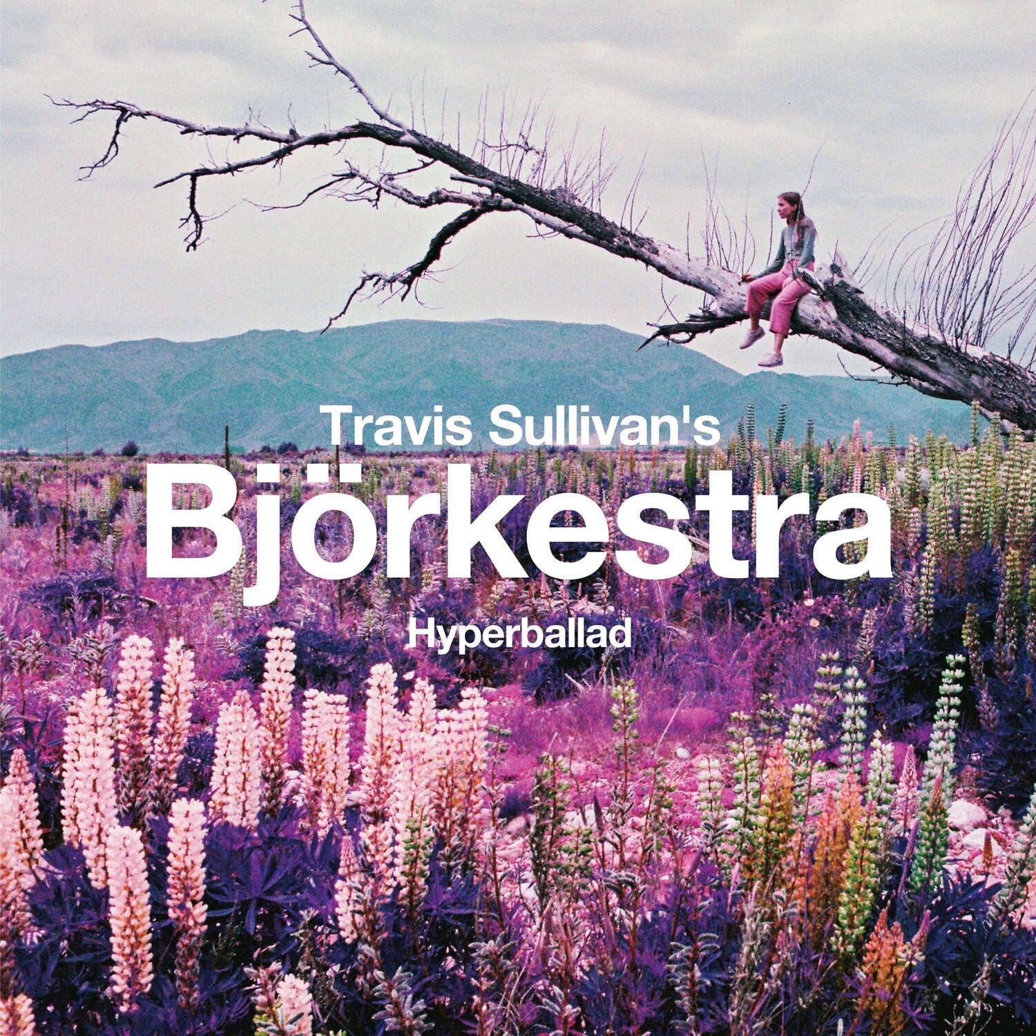 Travis Sullivan's Bjorkestra - Hyperballad / Venus As A Boy