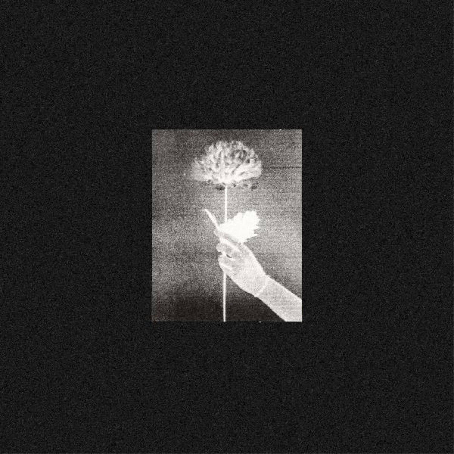 White Flowers - Day By Day (CD)