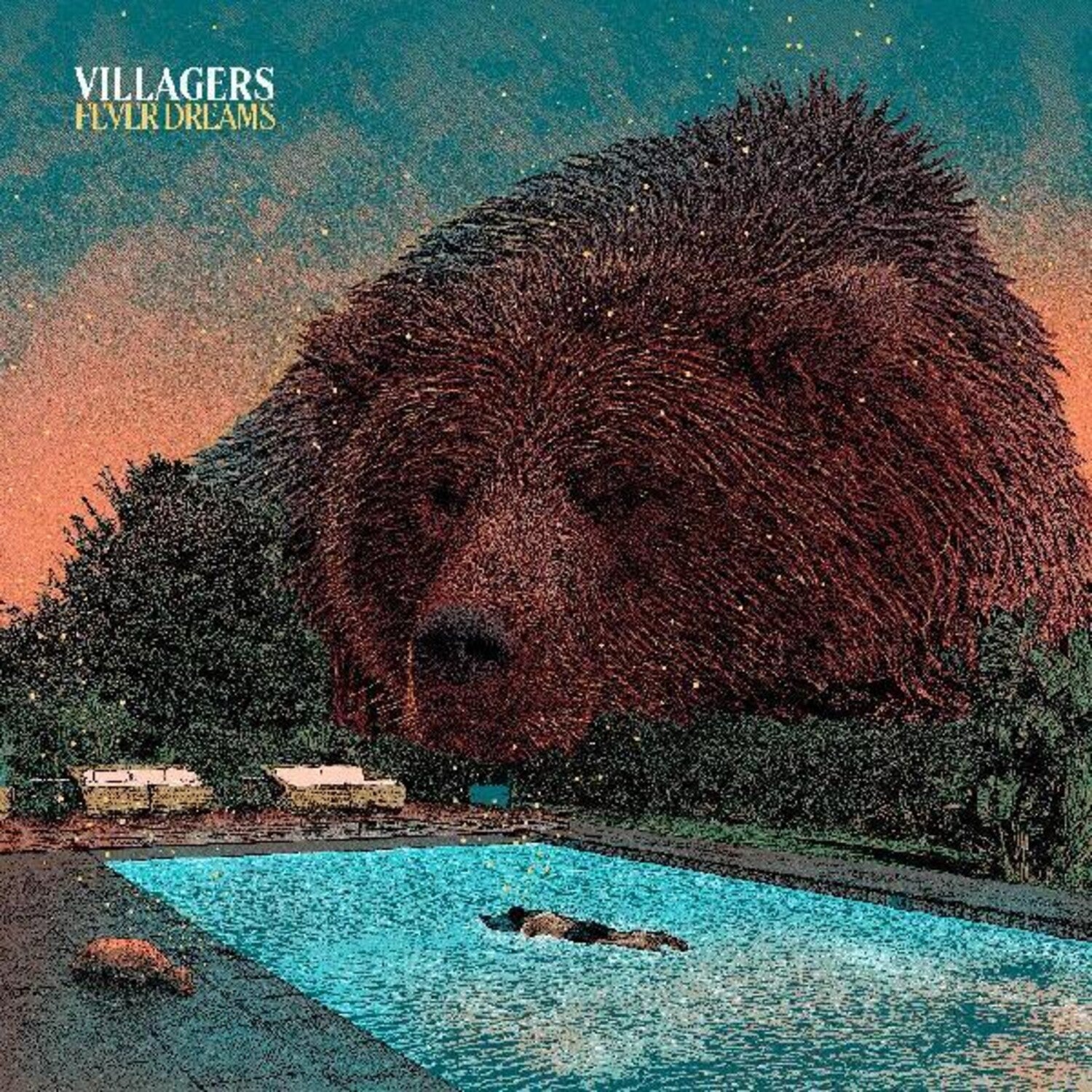 Villagers - Fever Dreams (CD)