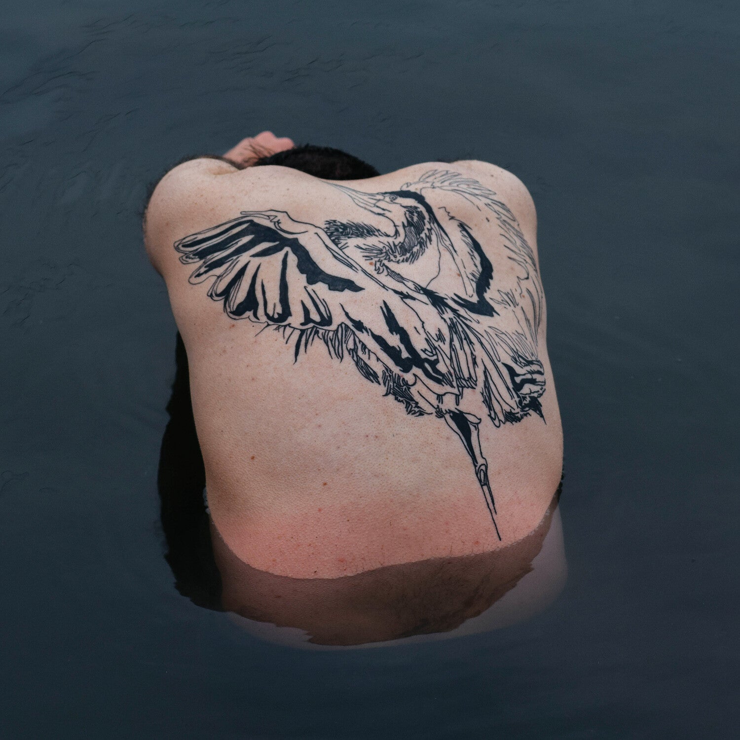 Jodi - Blue Heron (Metallic Silver) (Silver Vinyl)