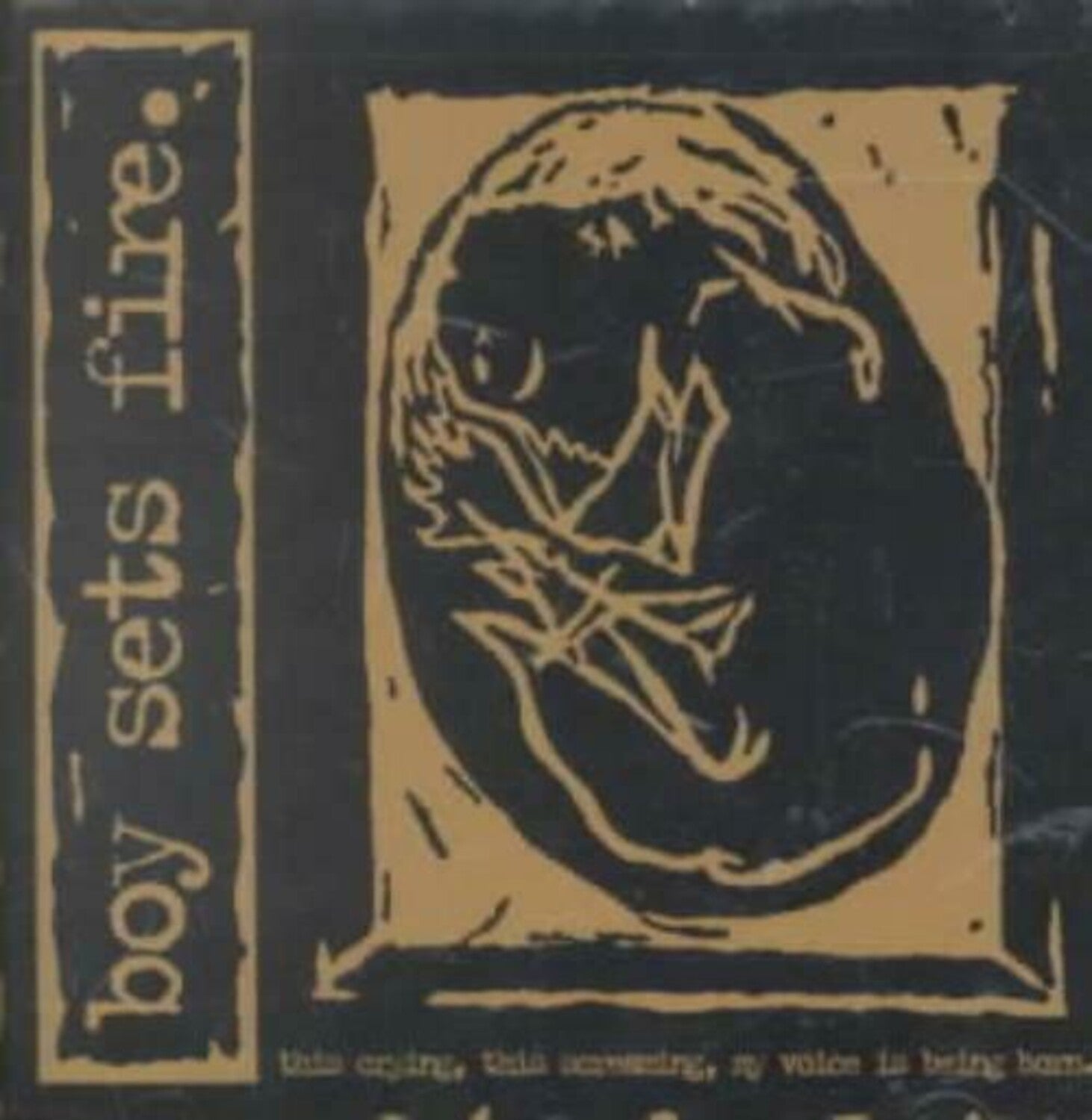 Boysetsfire - This Crying, This Screaming, My Voice Is Being Born