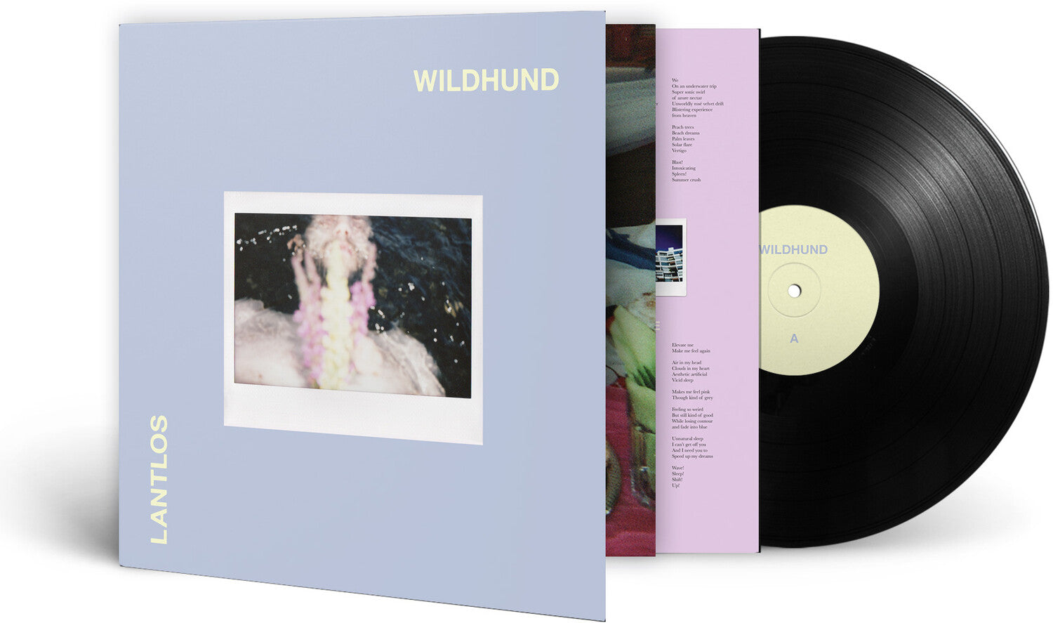 Lantlos - Wildhund