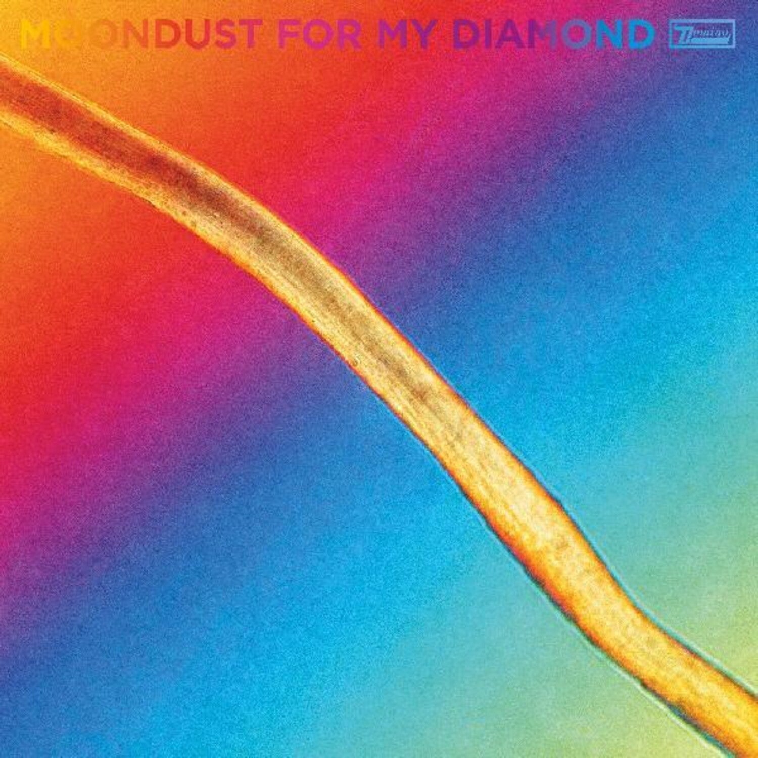 Hayden Thorpe - Moondust For My Diamond (CD)