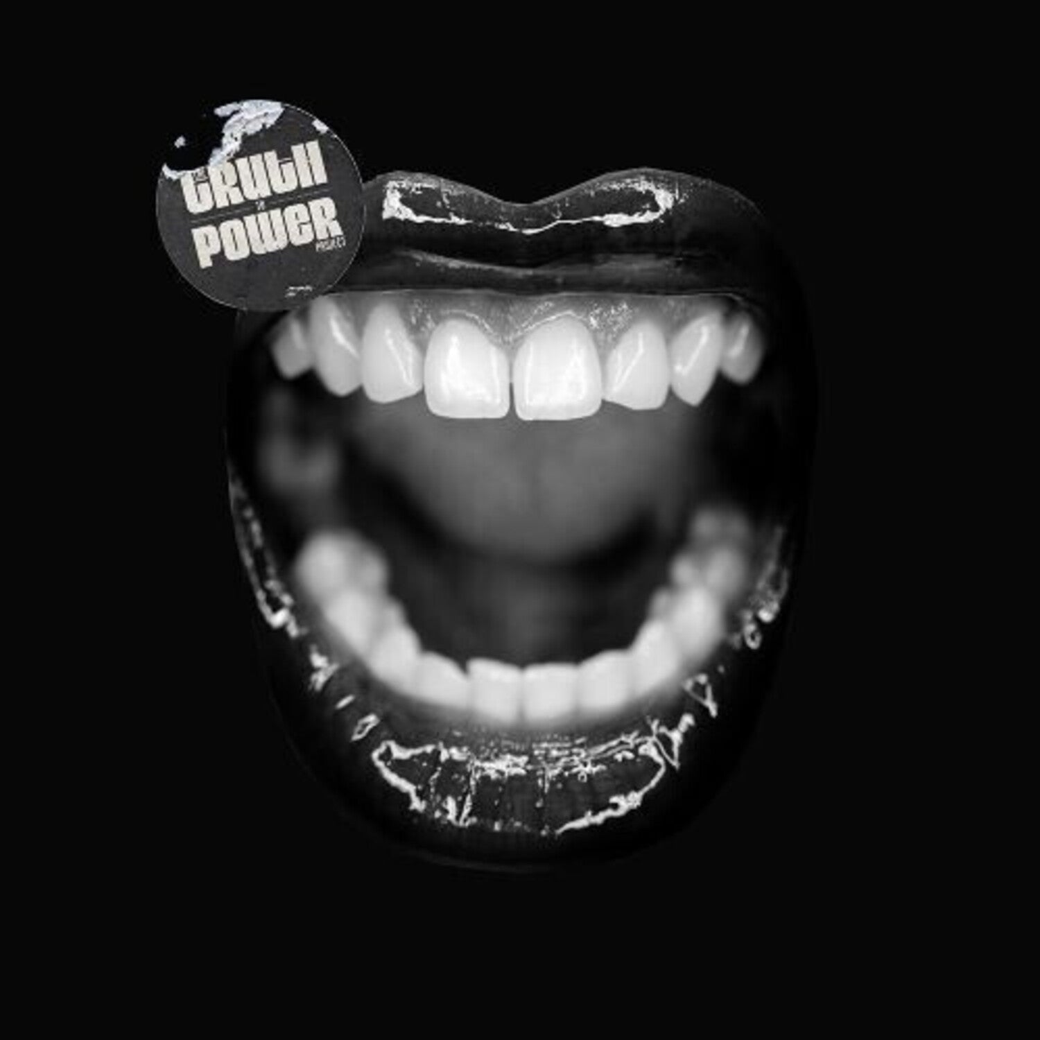 Various Artists - Truth to Power Project 3xLP (Deluxe)