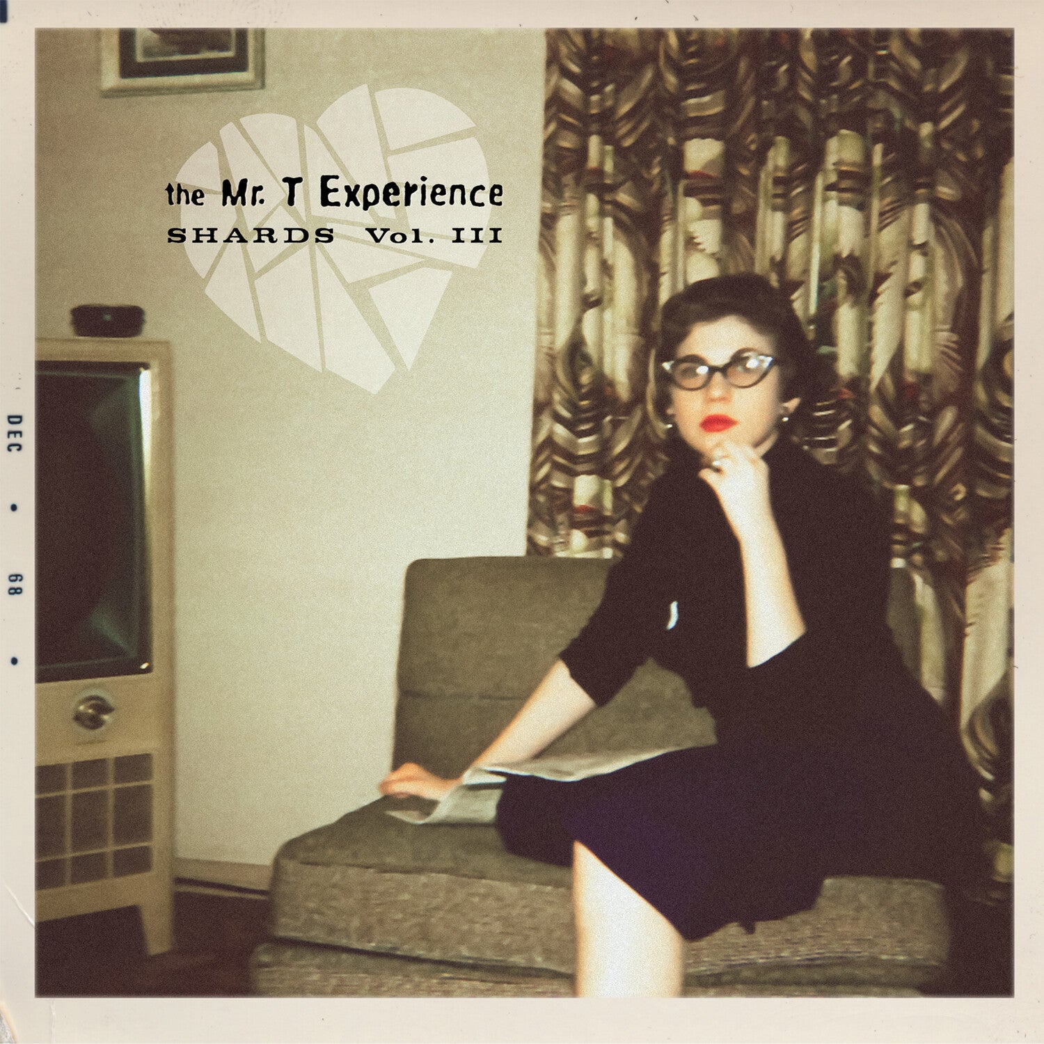 Mr. T Experience - Shards Vol. 3 (CD)