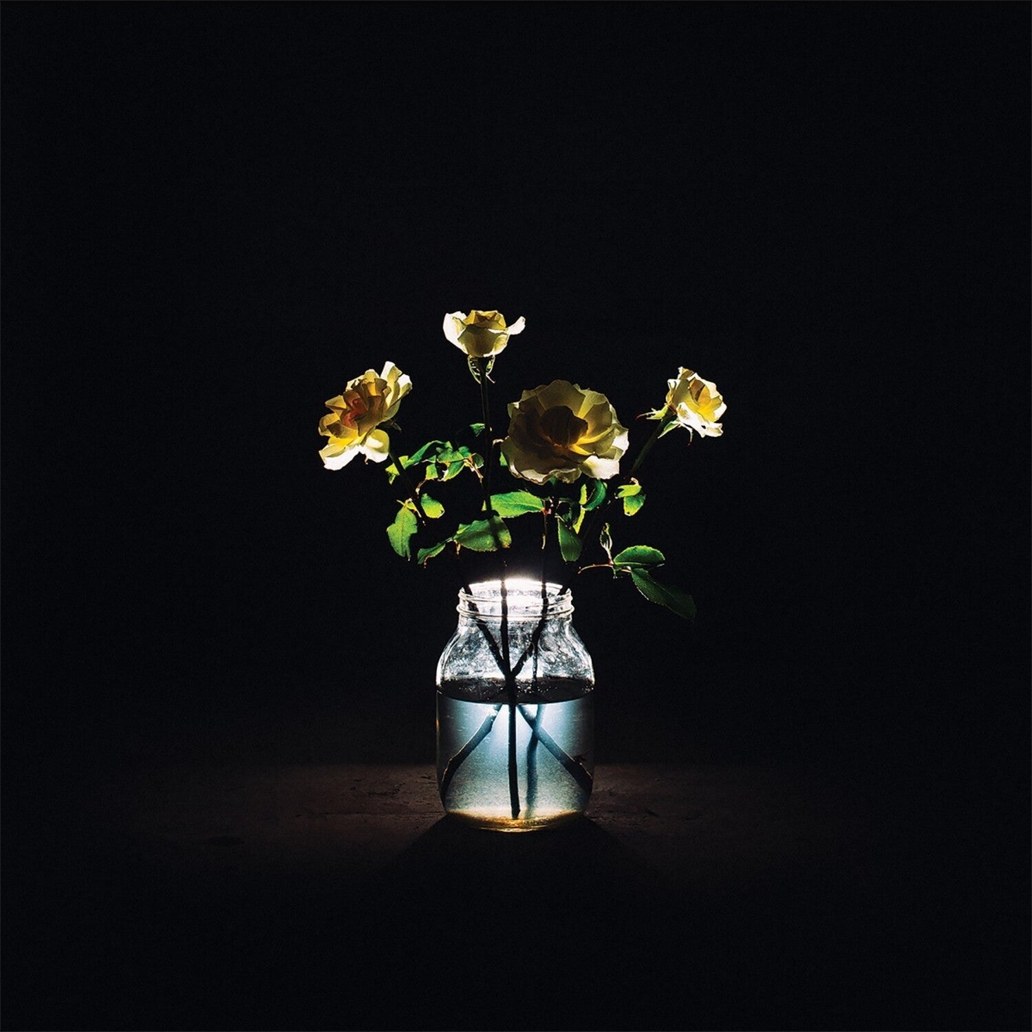 Billy Strings - Renewal 2xLP