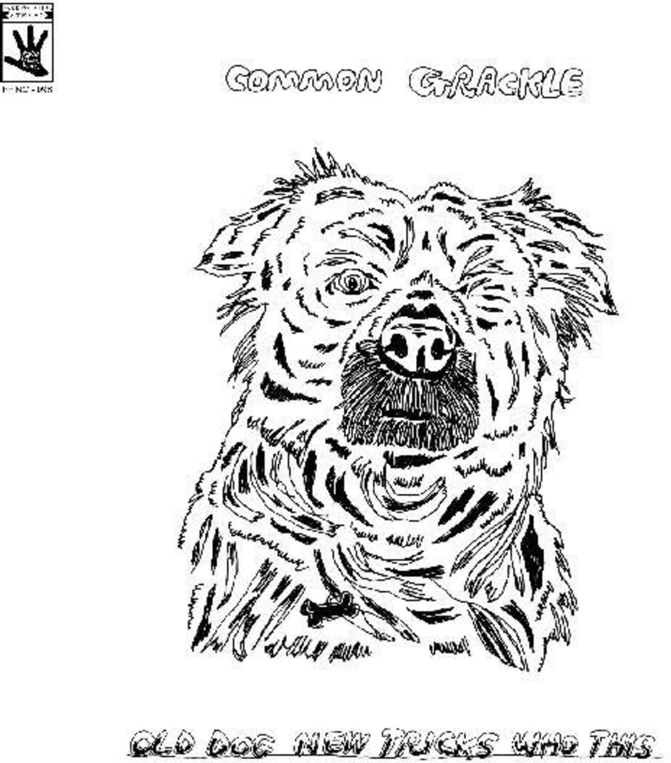 Common Grackle - Old Dog New Tricks Who This
