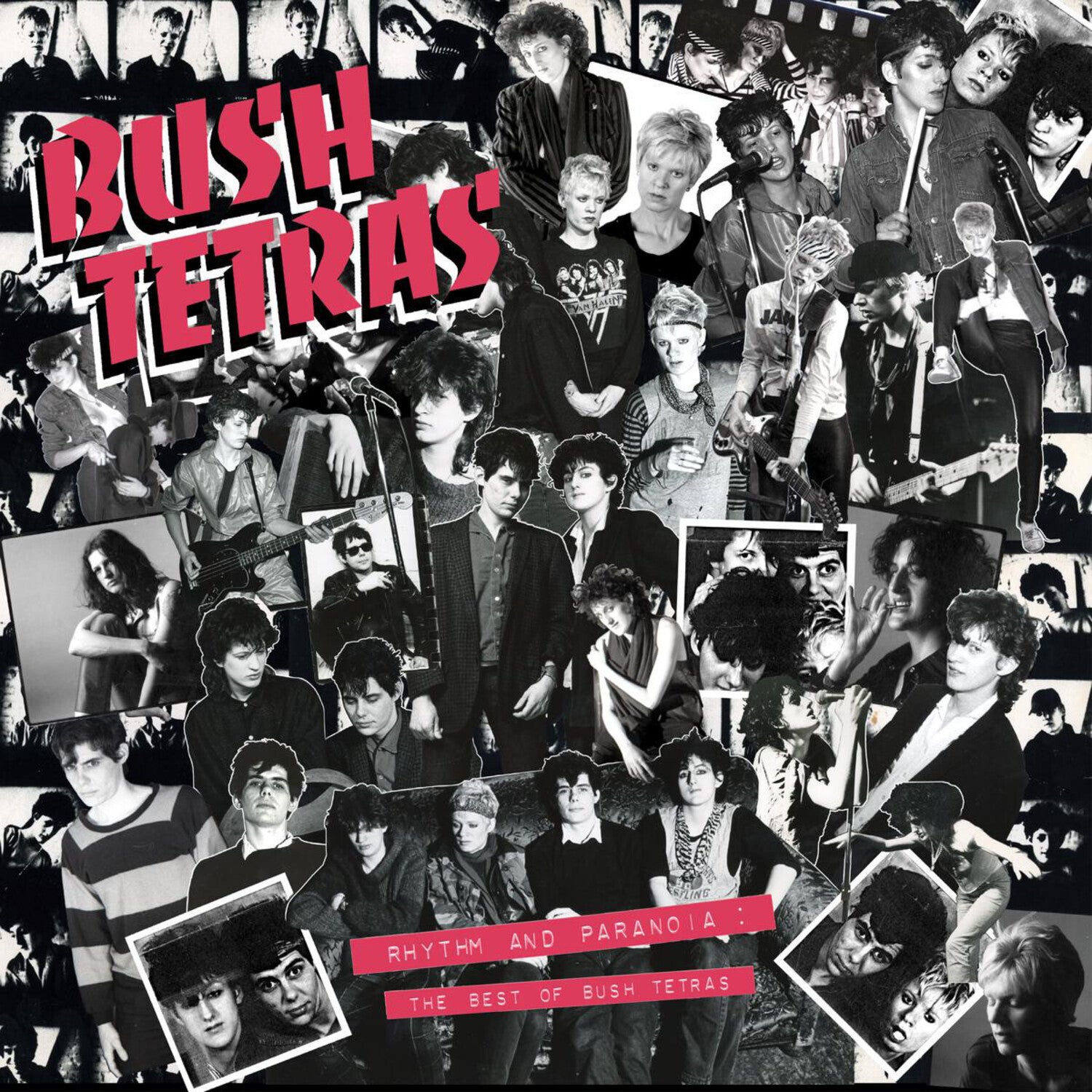 Bush Tetras - Rhythm & Paranoia: The Best of Bush Tetras 3xLP