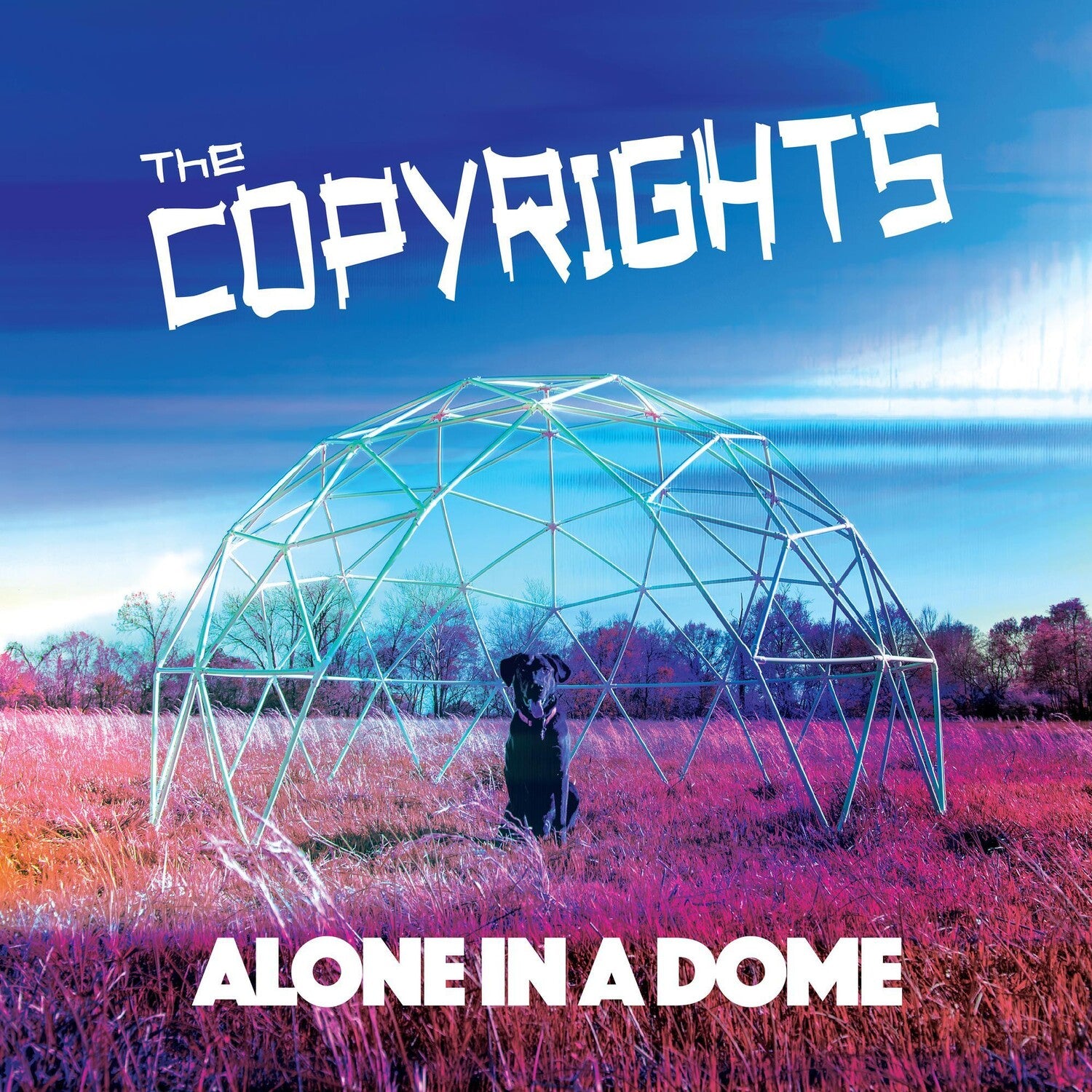 Copyrights - Alone In A Dome (CD)