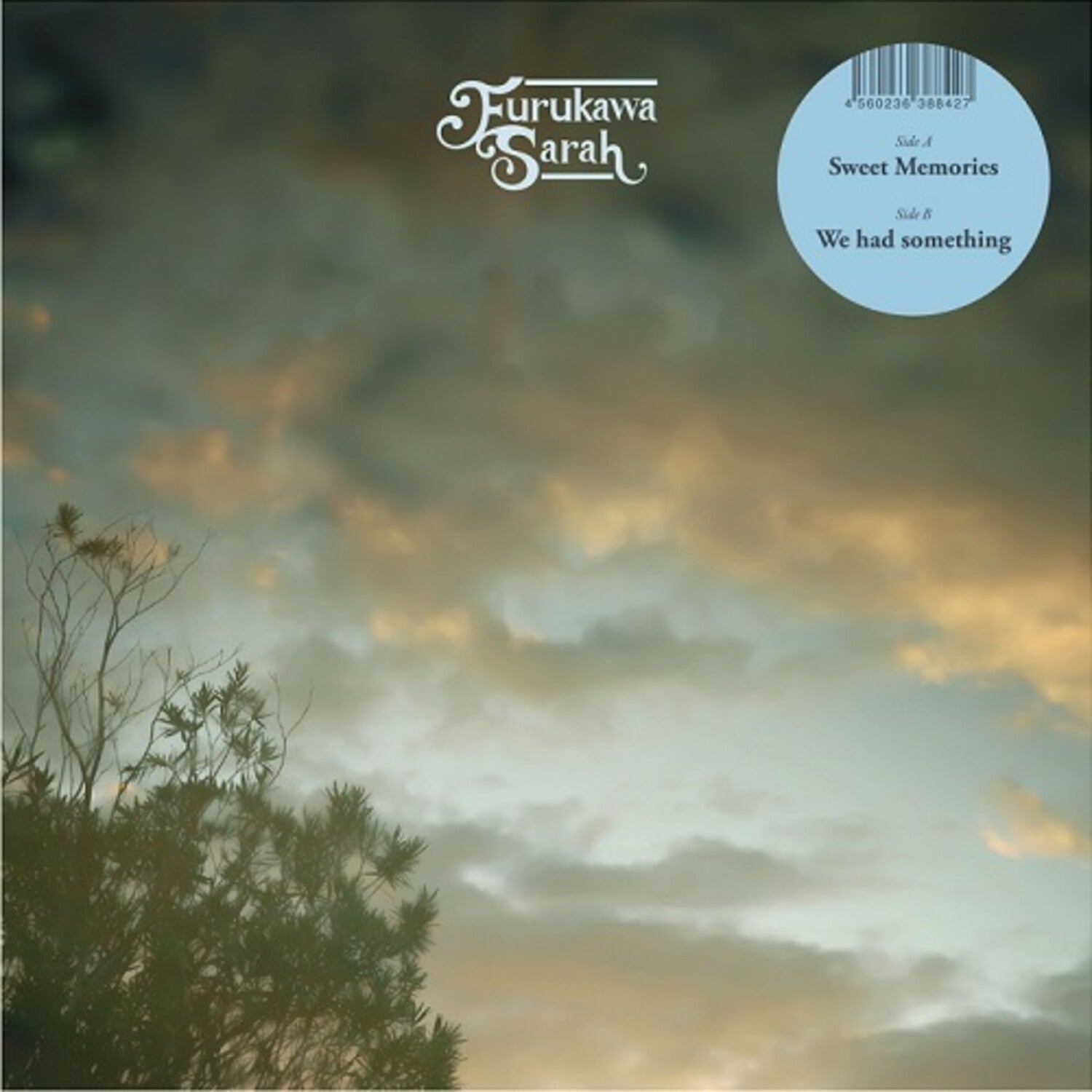 Furukawa Sarah - Sweet Memories / We Had Something