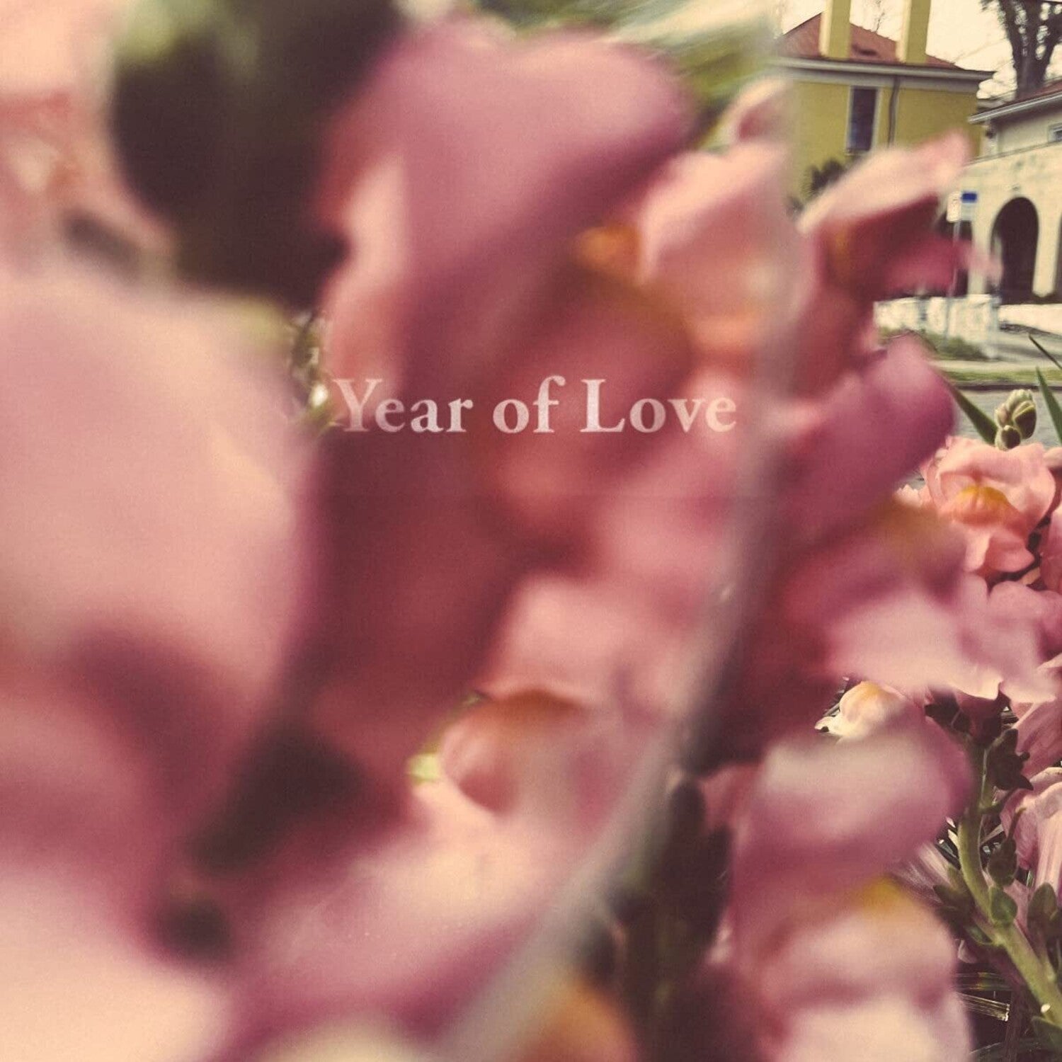 Beta Radio - Year Of Love (CD)