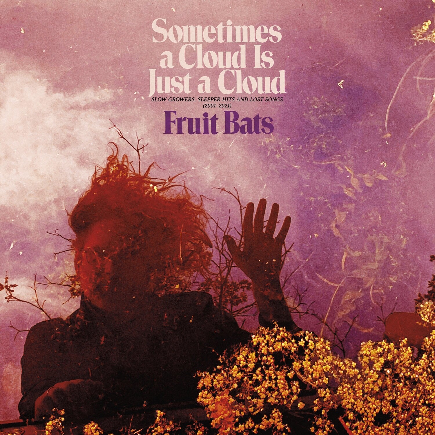 Fruit Bats - Sometimes a Cloud Is Just a Cloud: Slow Growers, Sleeper Hits and Lost Songs (2001–2021) 2xLP (Pink Vinyl)
