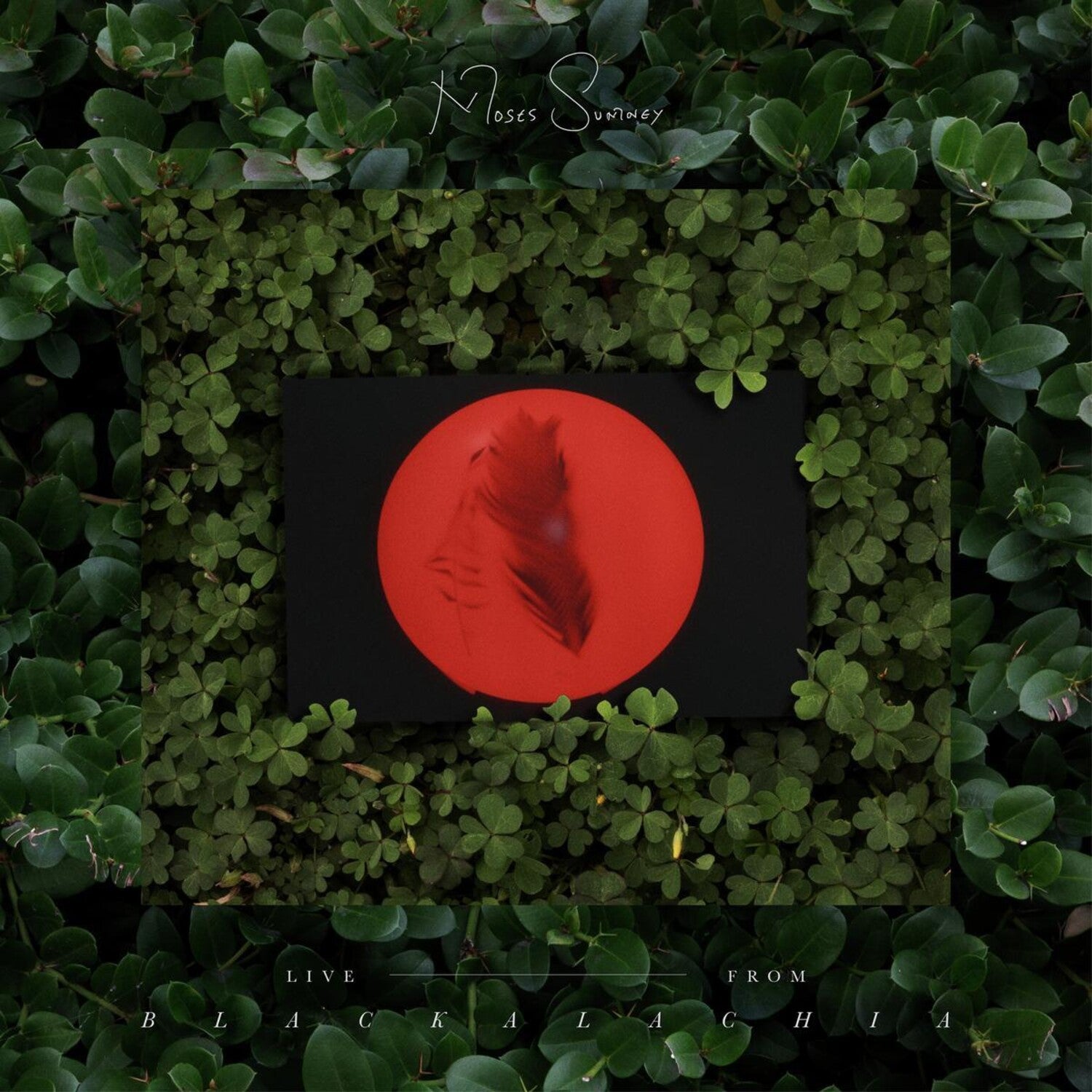 Moses Sumney - Live From Blackalachia (Clear Green) 2xLP (Clear Vinyl)