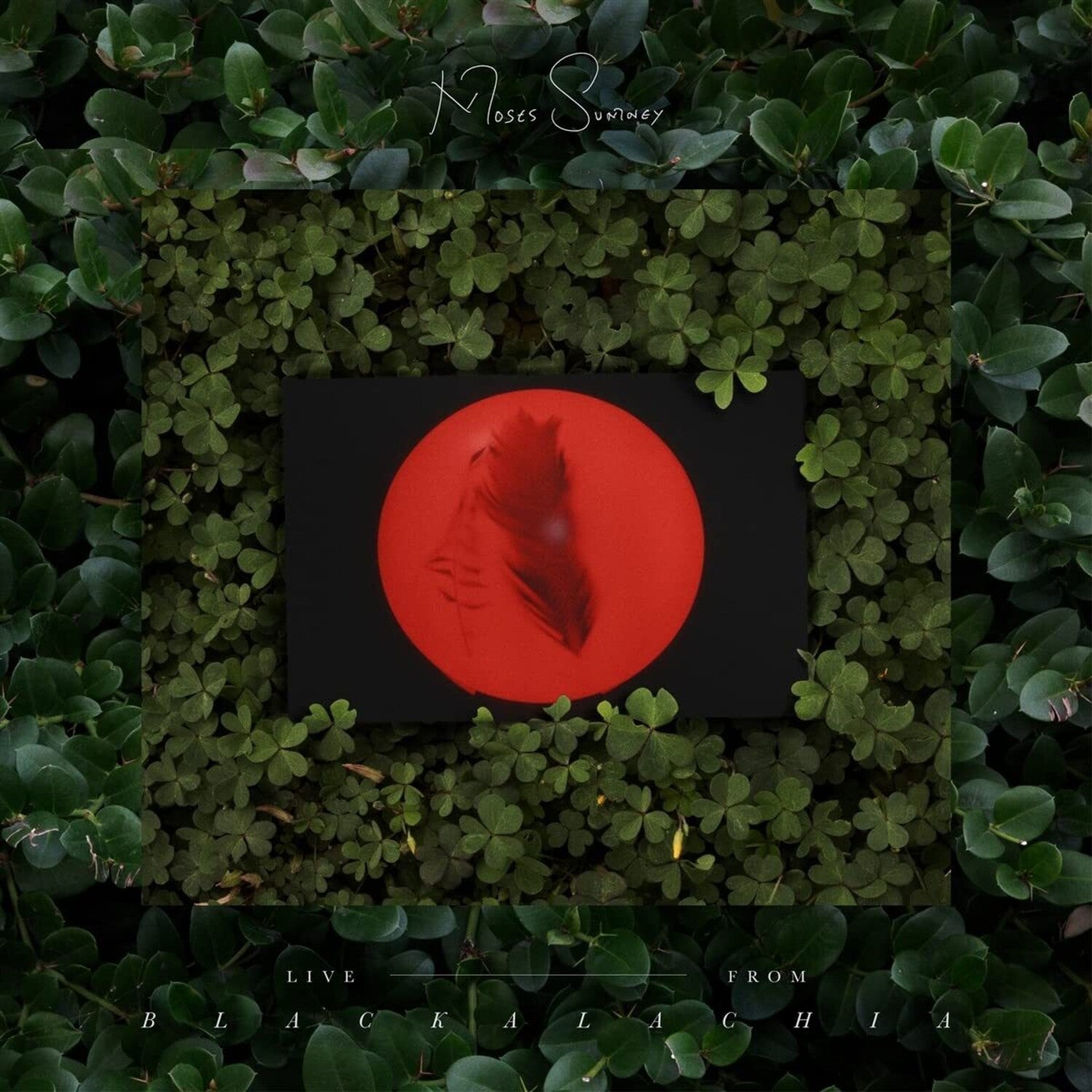 Moses Sumney - Live From Blackalachia 2xLP