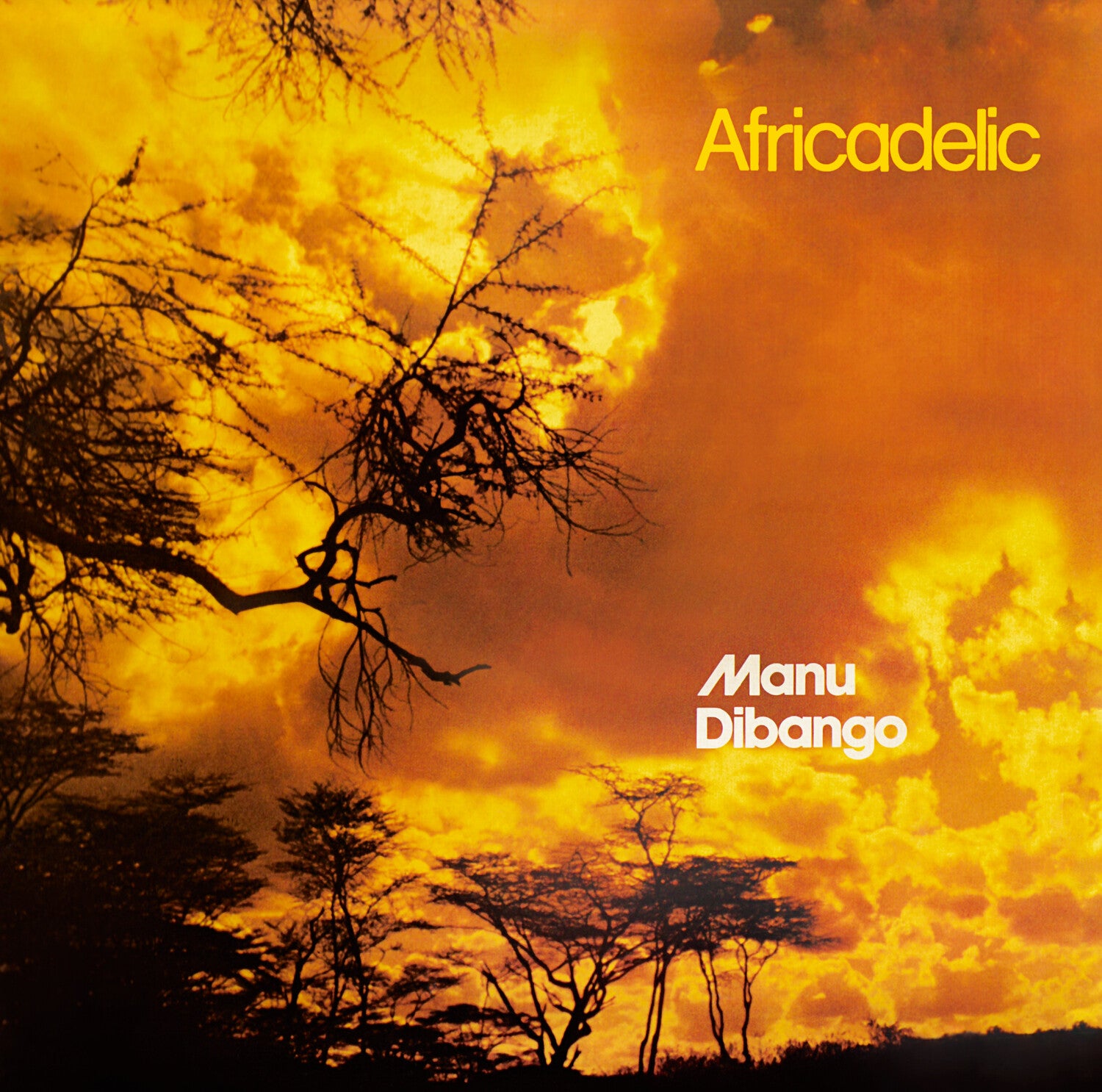 Manu Dibango - Africadelic (Clear Vinyl)