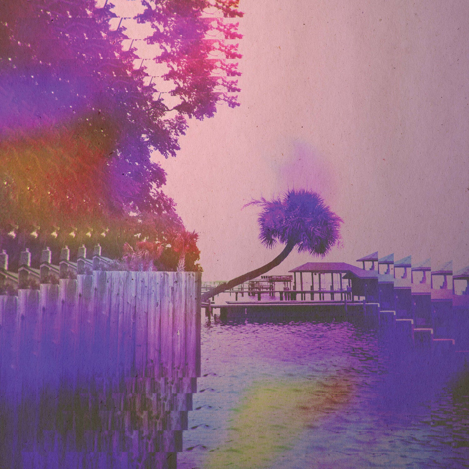 Lannds - lotus deluxe (Pink Vinyl)
