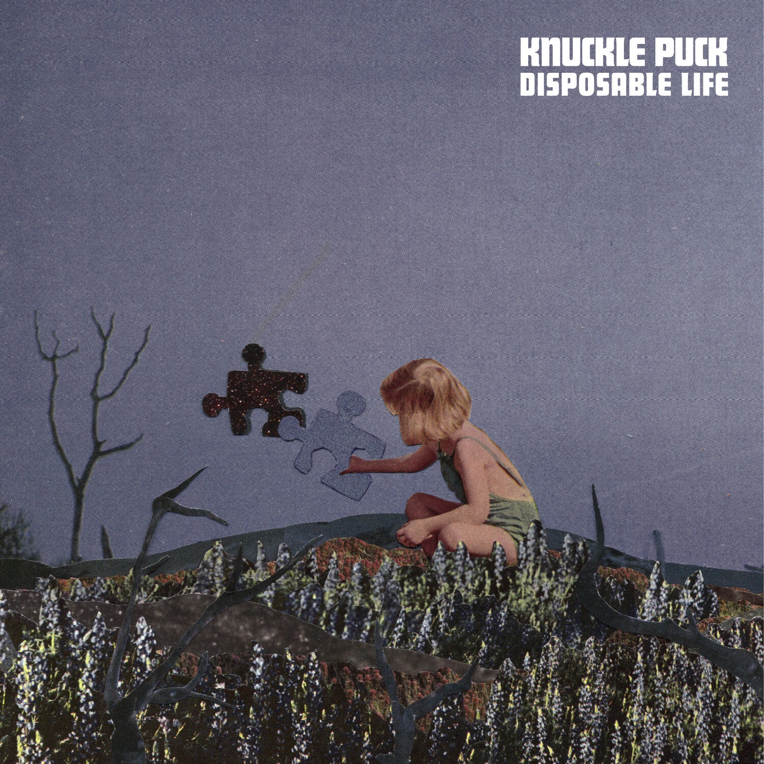 Knuckle Puck - Disposable Life (Red Apple) (Red Vinyl)