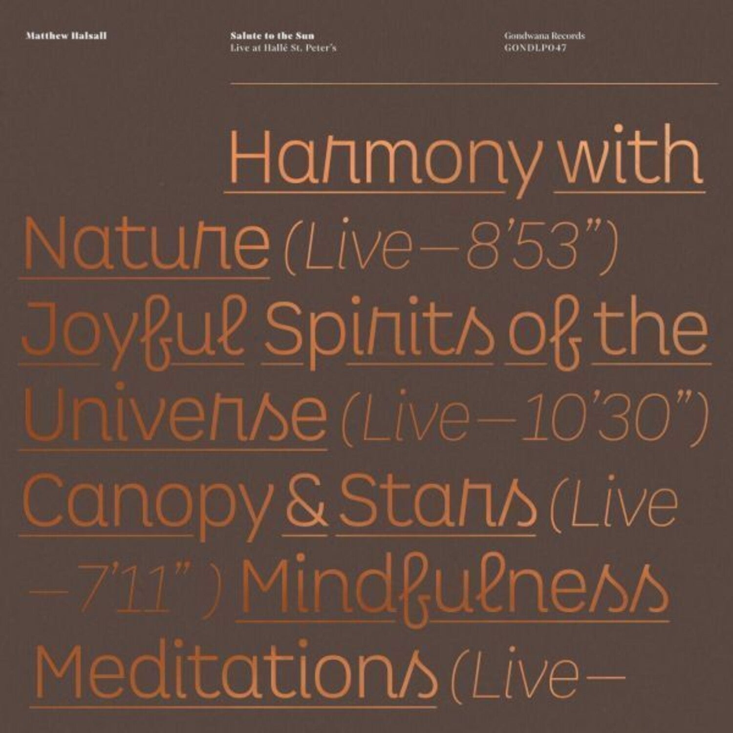 Matthew Halsall - Salute To The Sun Live At Halle St. Peter's
