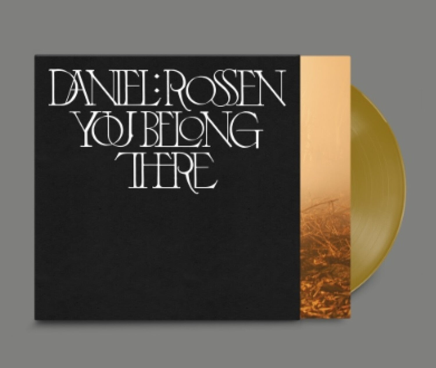 Daniel Rossen - You Belong There (Gold Vinyl)