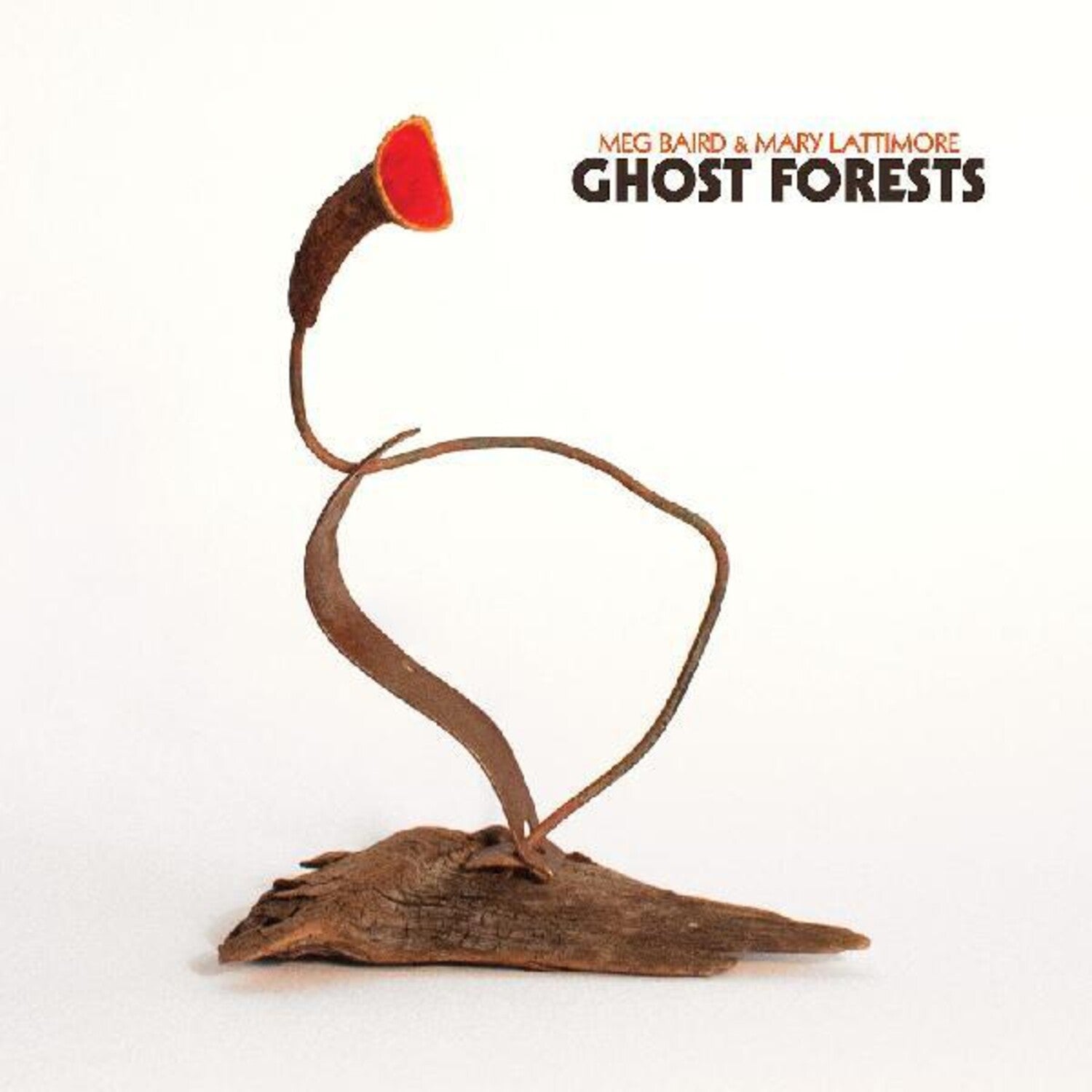 Meg Baird / Mary Lattimore - Ghost Forests (Green Vinyl)