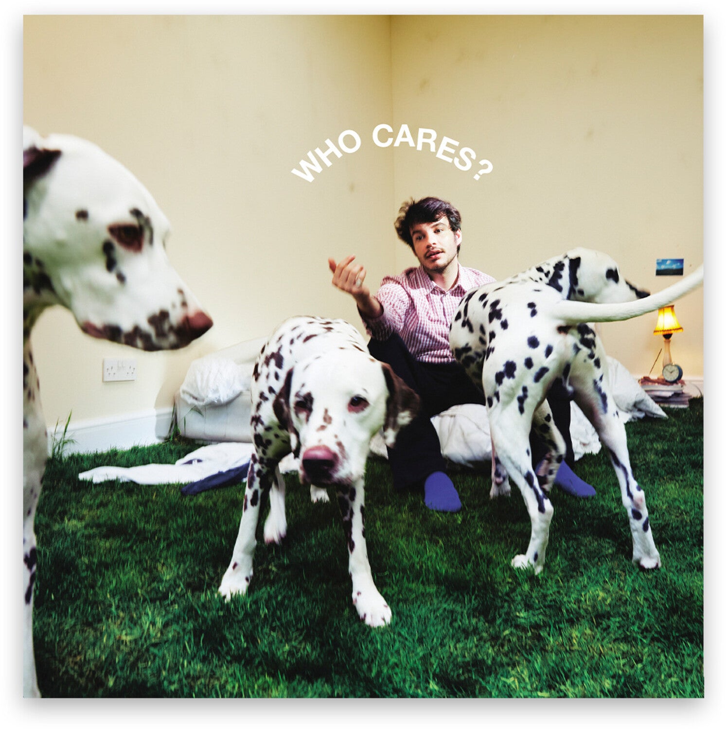 Rex Orange County - Who Cares? (CD)