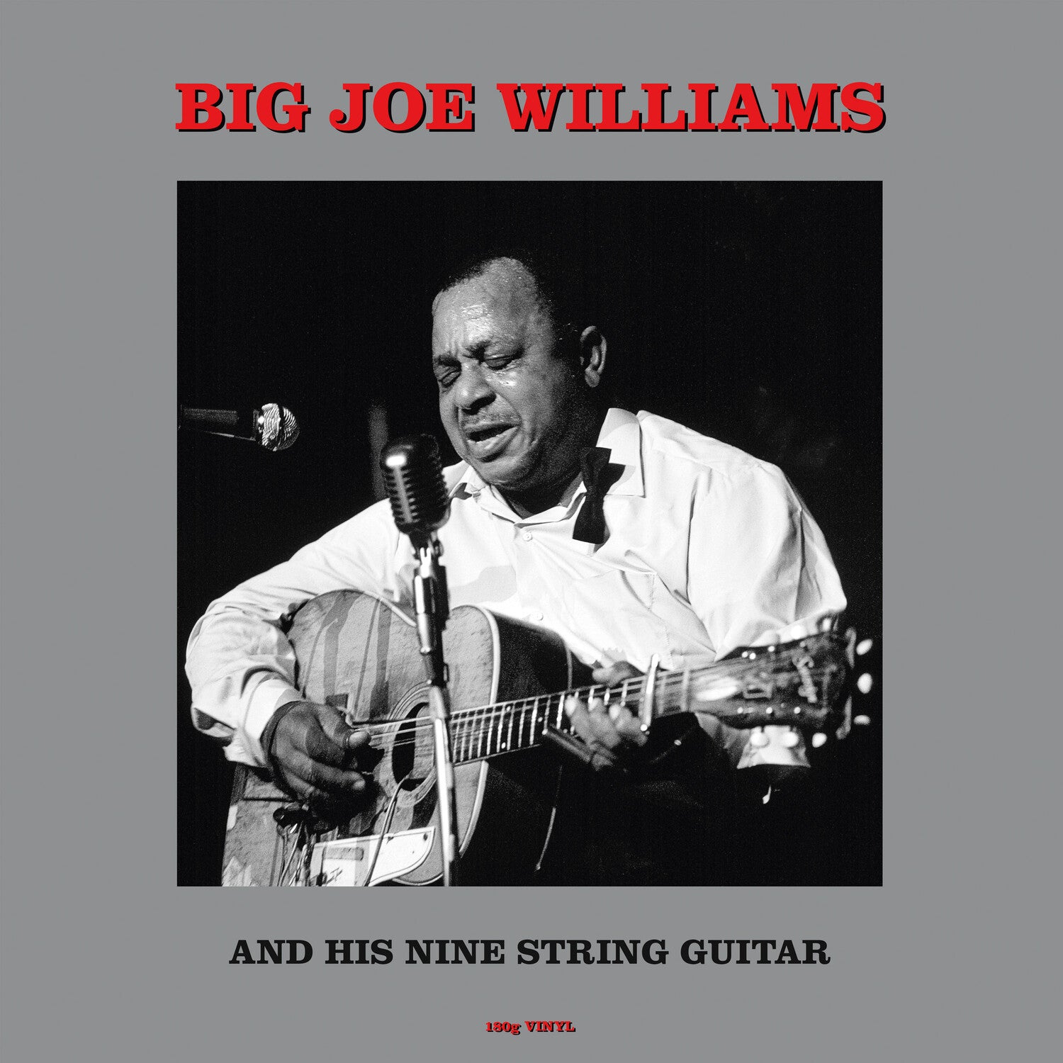 Big Joe Williams - And His Nine String Guitar