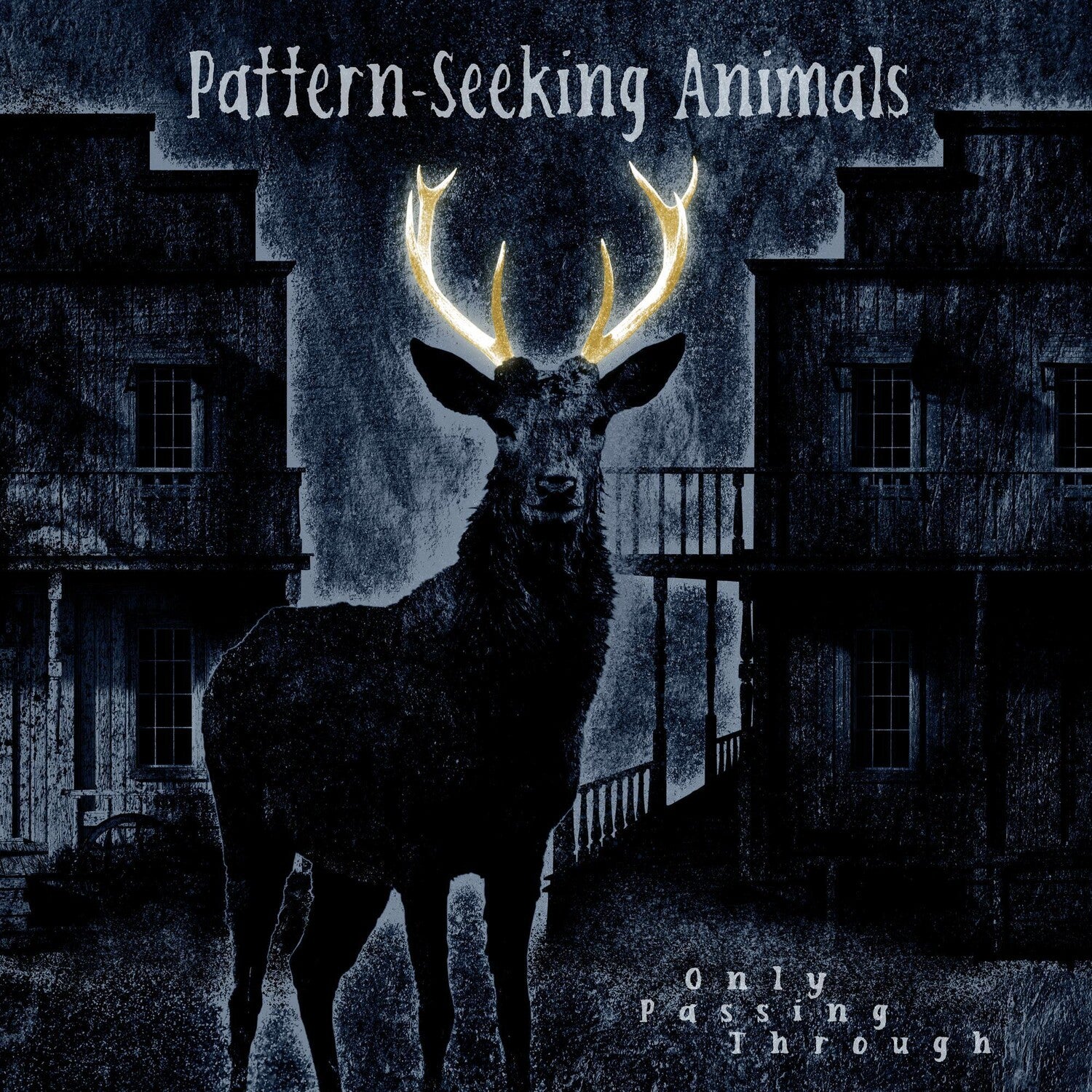 Pattern-Seeking Animals - Only Passing Through 3xLP