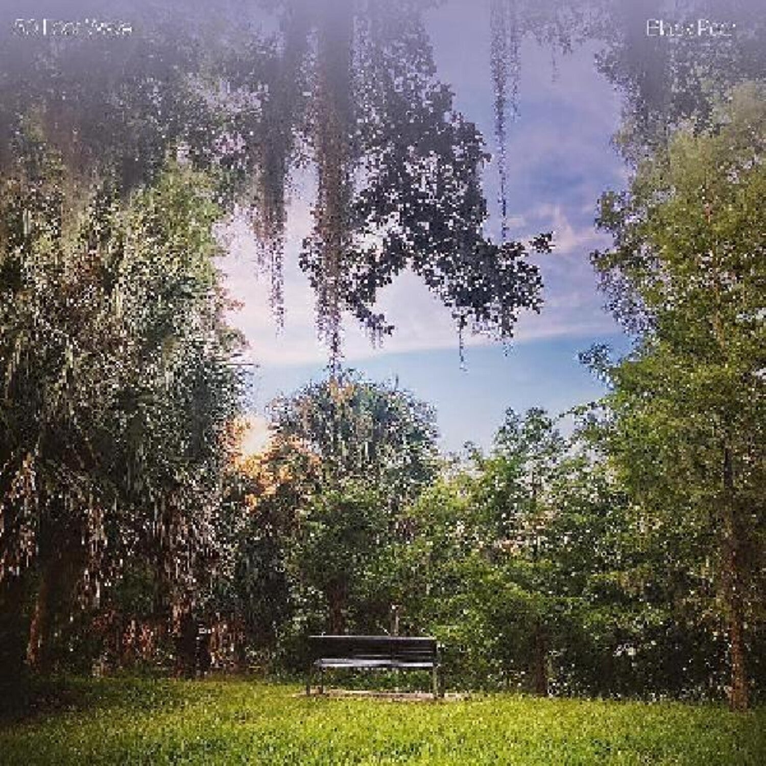 50 Foot Wave - Black Pearl (CD)