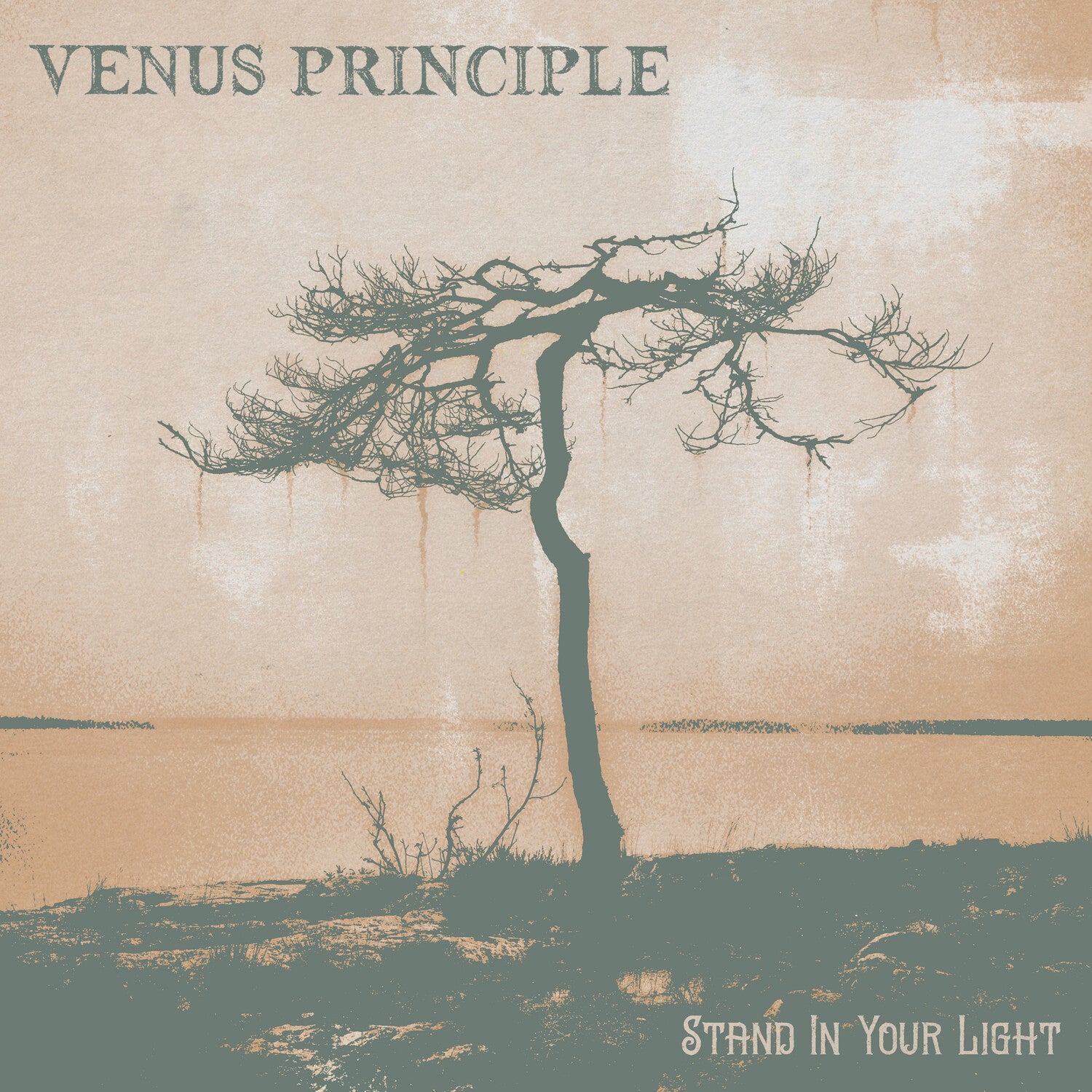 Venus Principle - Stand In Your Light (CD)