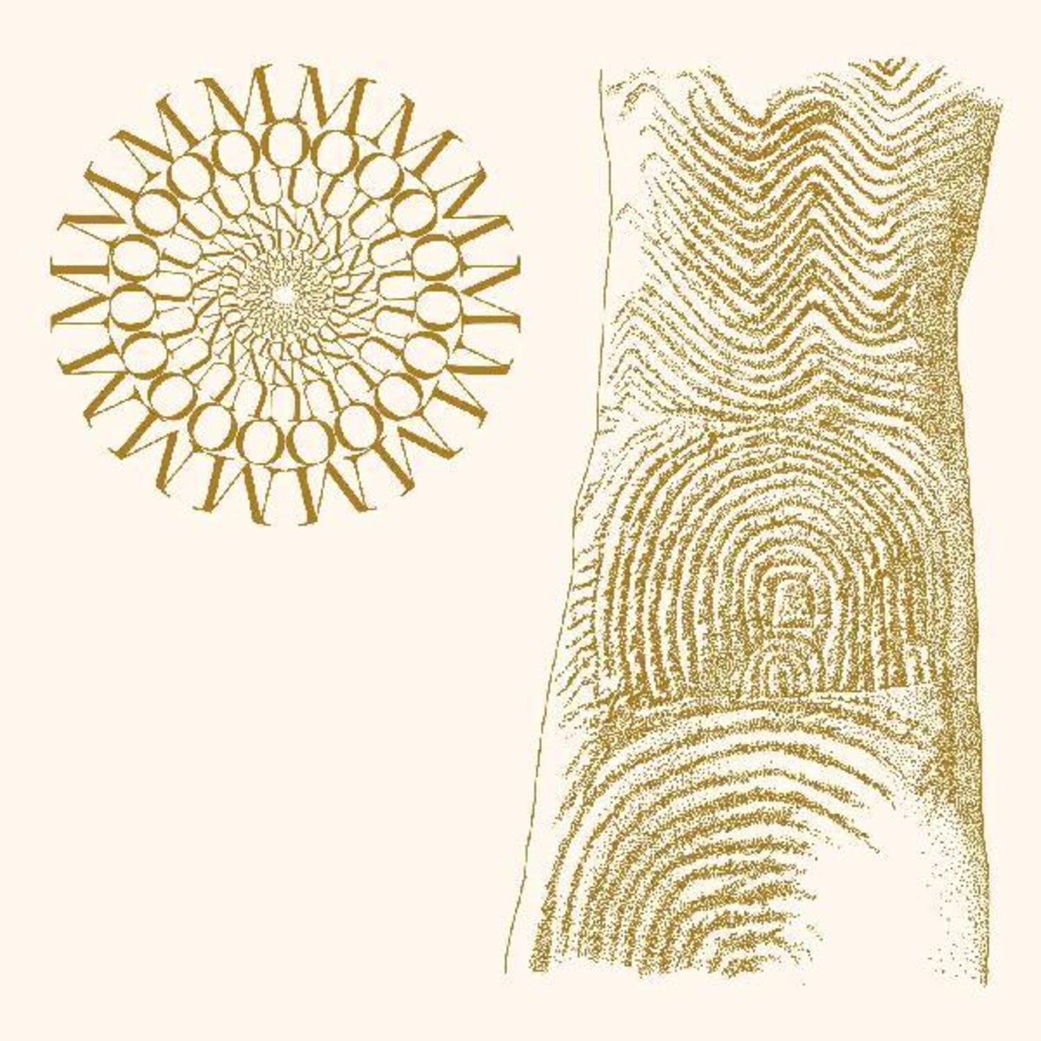 Moundabout - Flowers Rot Bring Me Stones (Brown Vinyl)