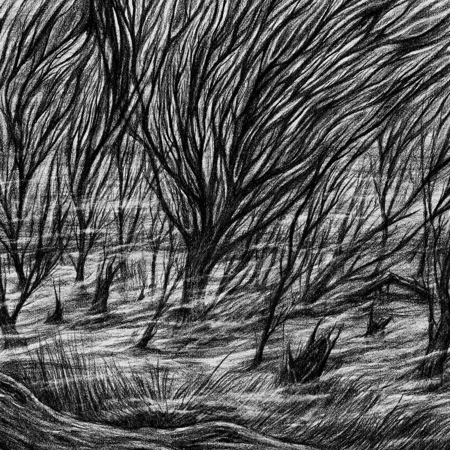 Bismuth - The Eternal Marshes