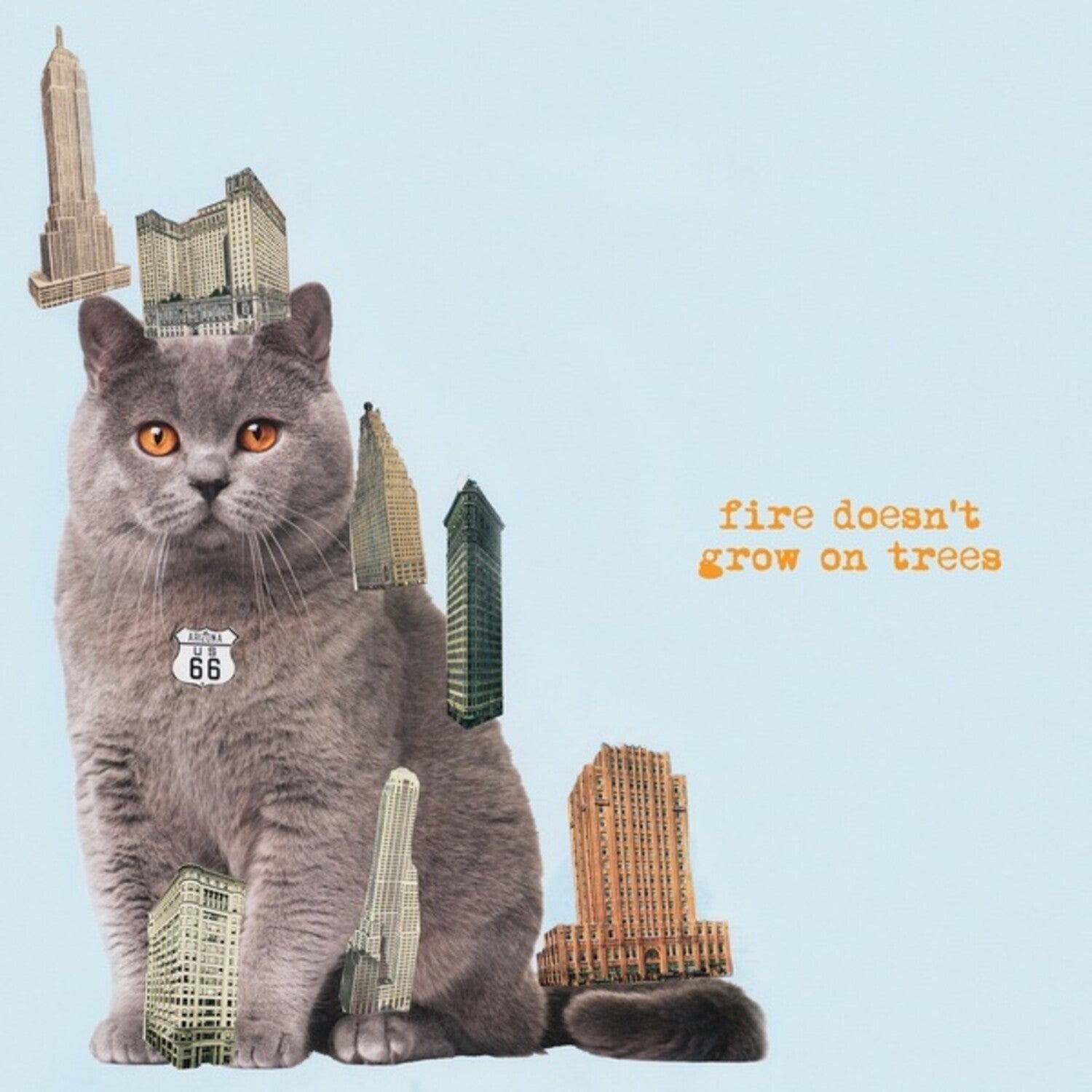 The Brian Jonestown Massacre - Fire Doesn't Grow On Trees (CD) — CD album cover