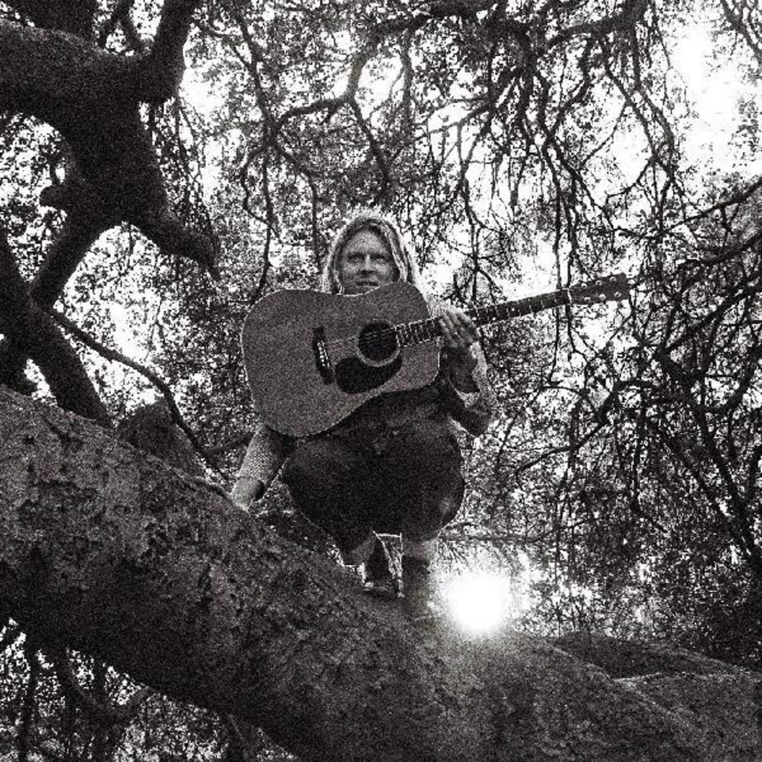 Ty Segall - Hello Hi (CD)