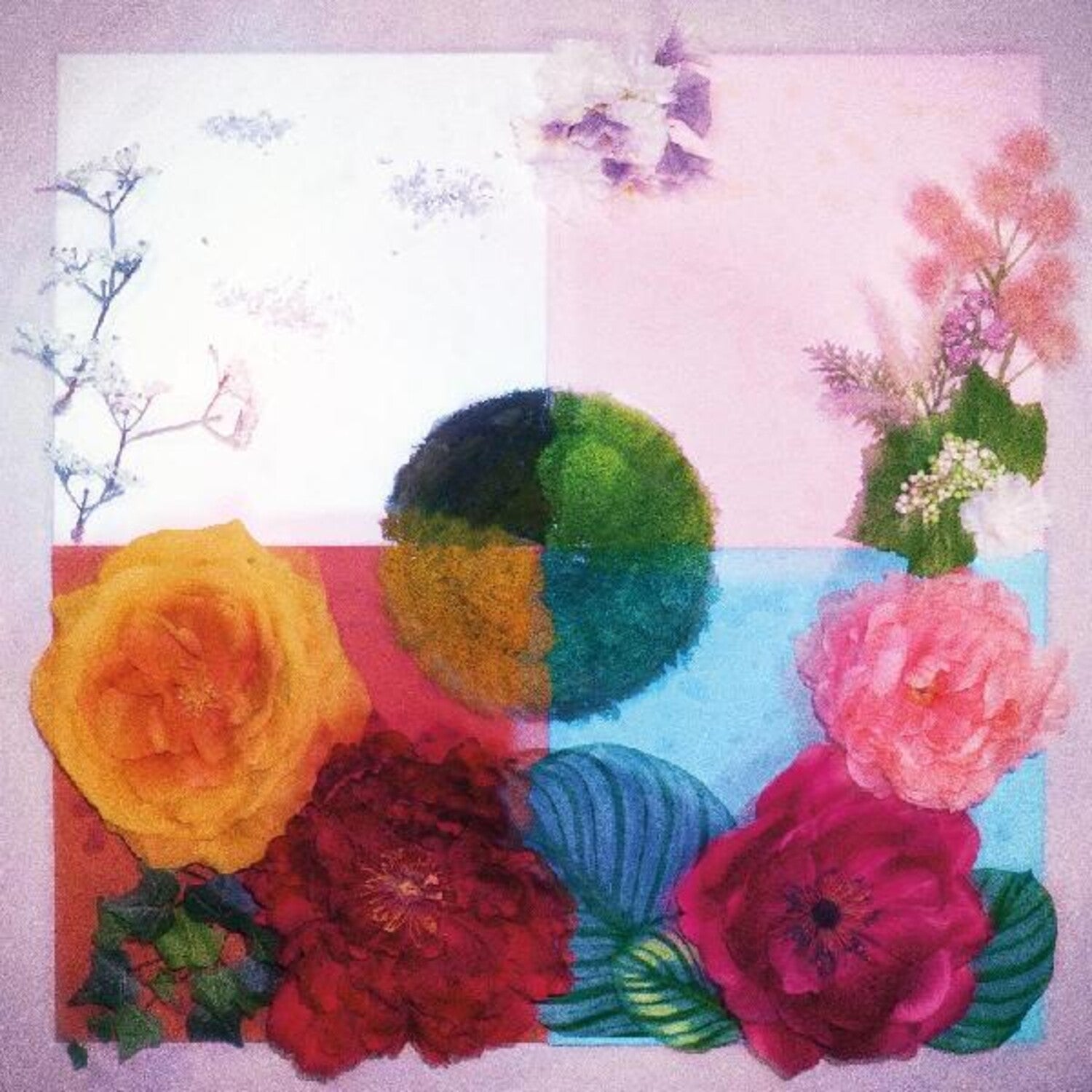 Zenizen - P.o.c (proof Of Concept) (Pink Vinyl)
