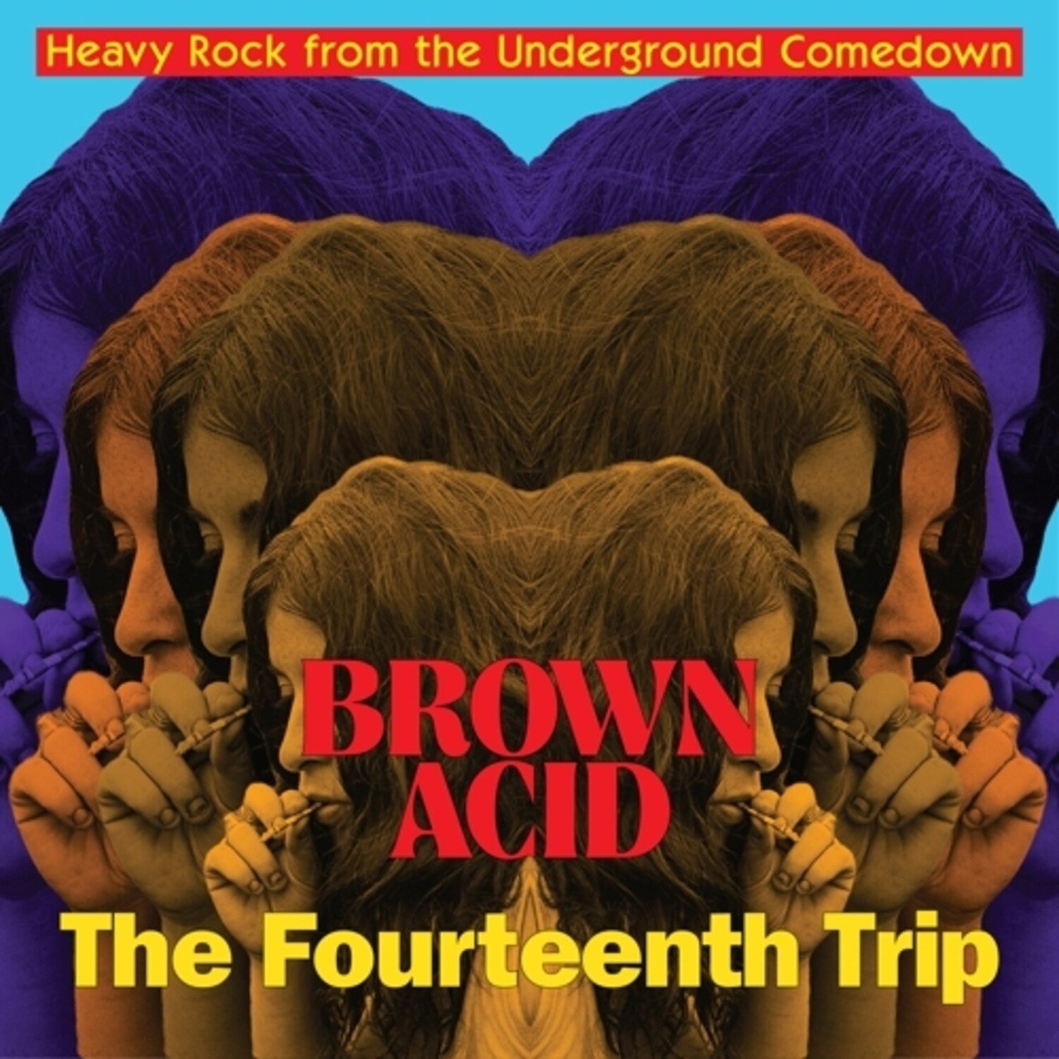 Various Artists - Brown Acid - Fourteenth Trip