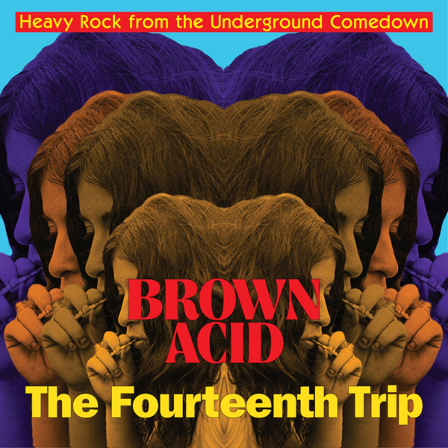 Various Artists - Brown Acid - Fourteenth Trip (CD)