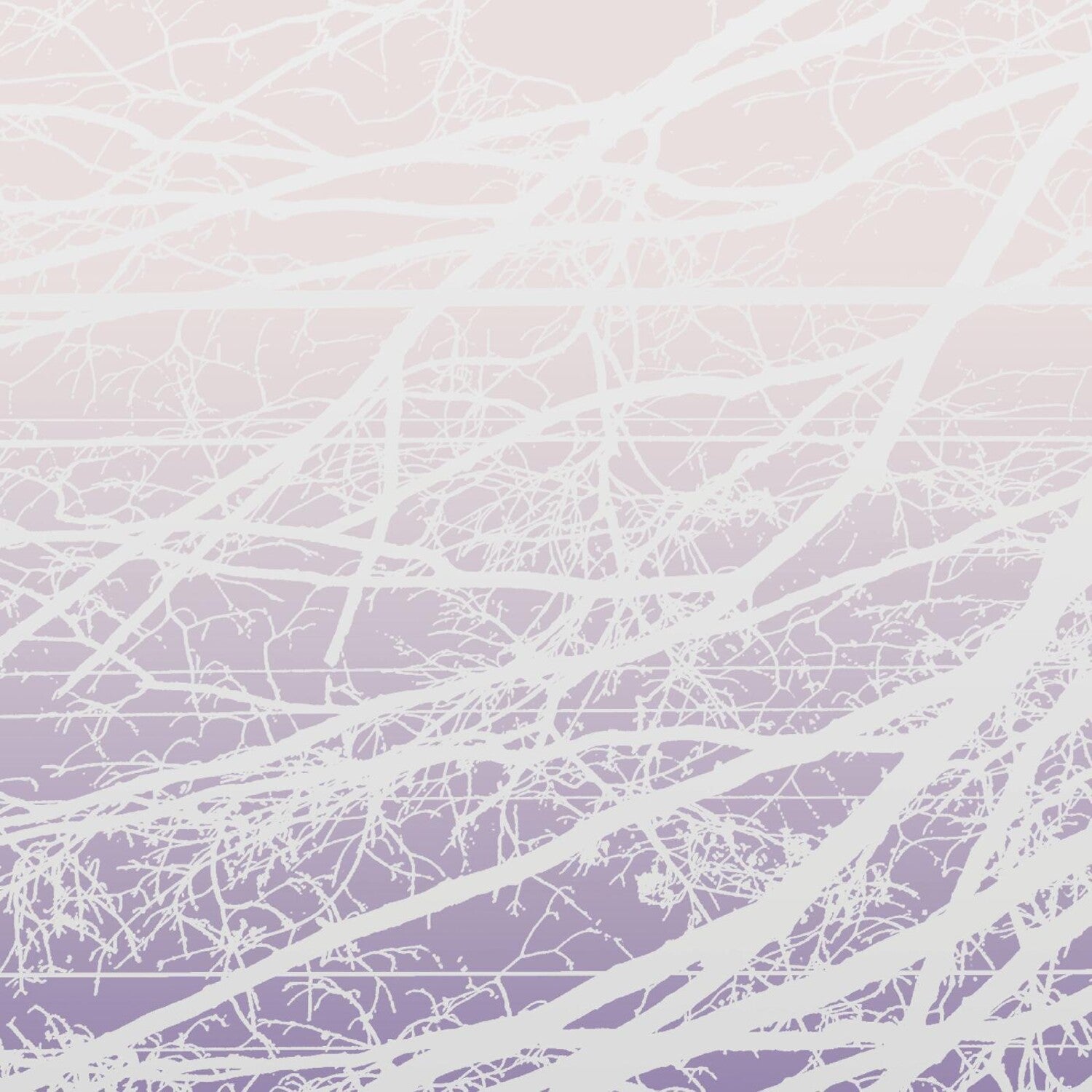 Lea Bertucci - Metal Aether / Resonant Field 2xLP
