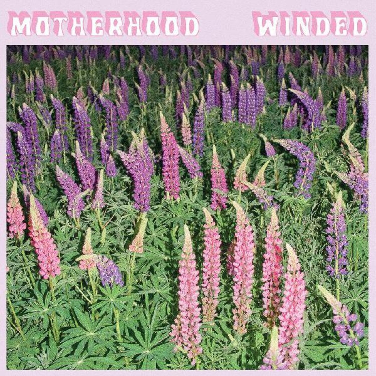 Motherhood - Winded (CD)