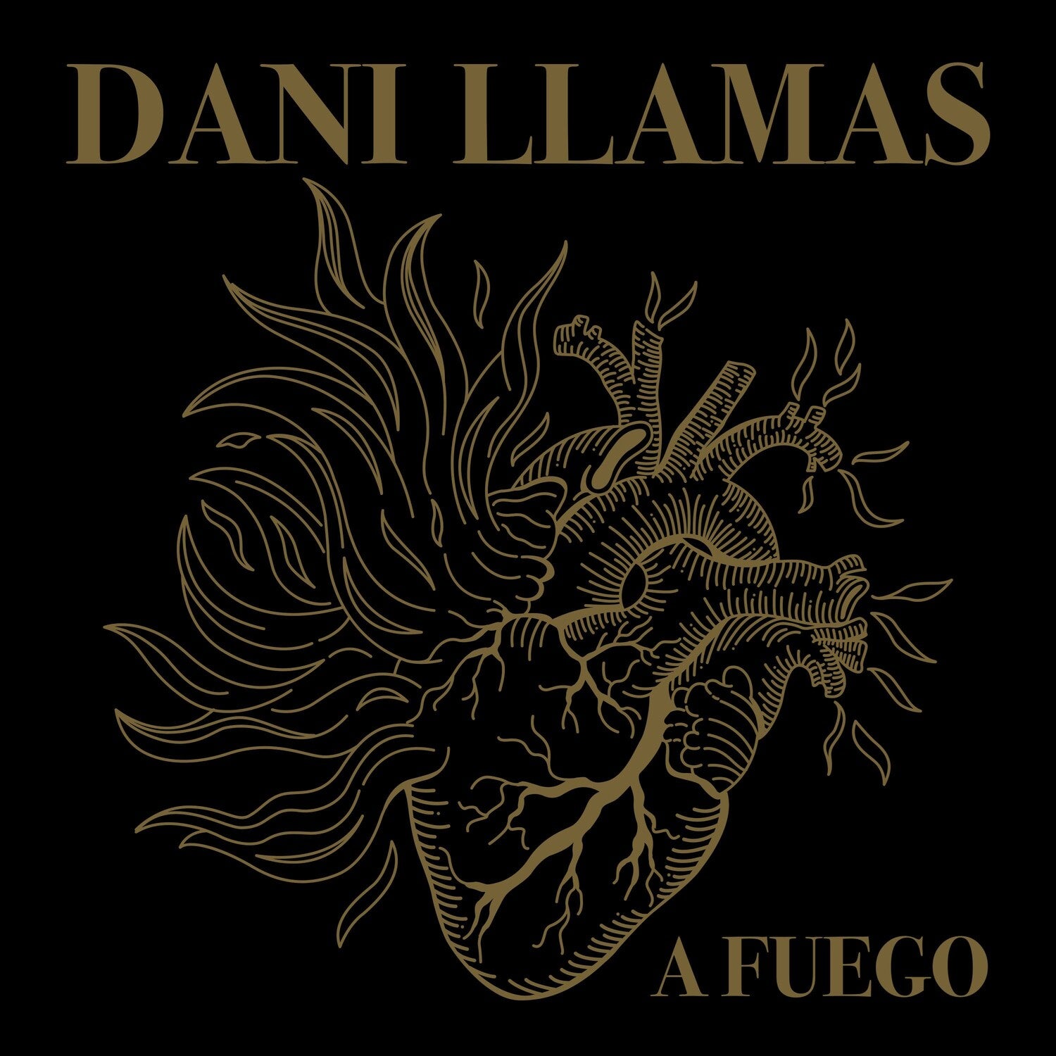 Dani Llamas - A Fuego